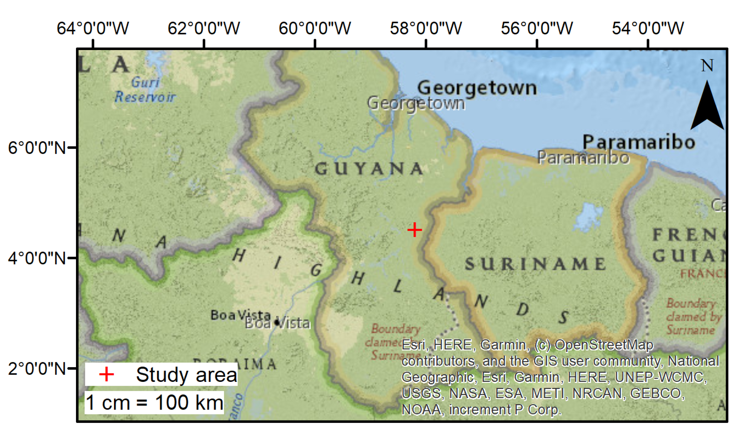 Forests 10 00527 g001
