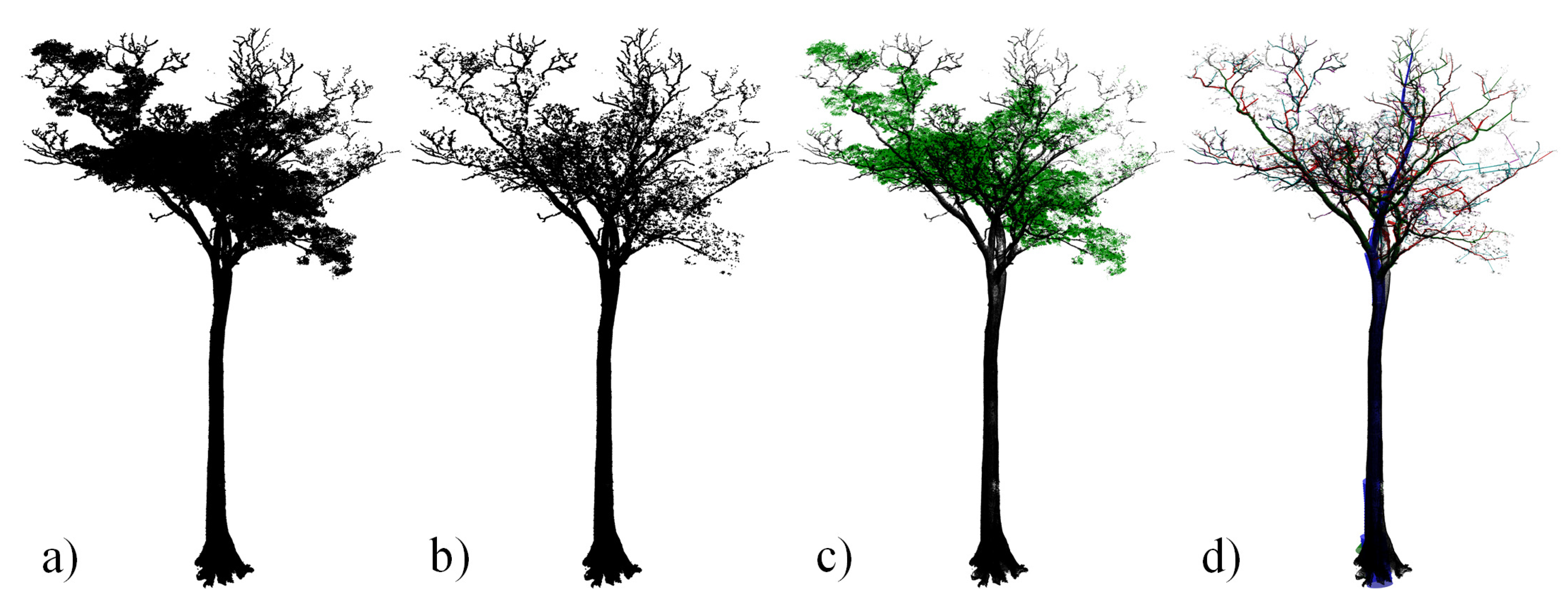 Forests 10 00527 g002