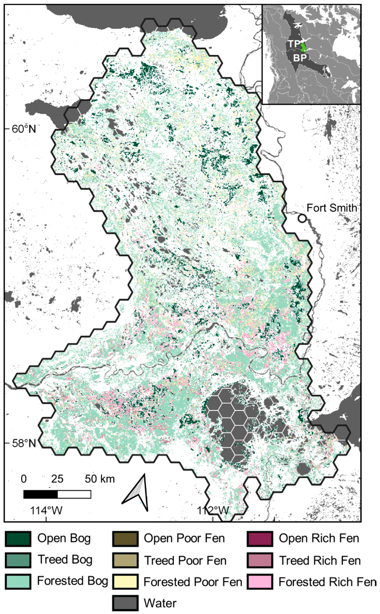 Forests 10 00534 g001 Forests 10 00534 g001