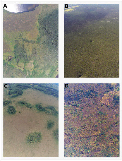 Forests 10 00534 g0a1