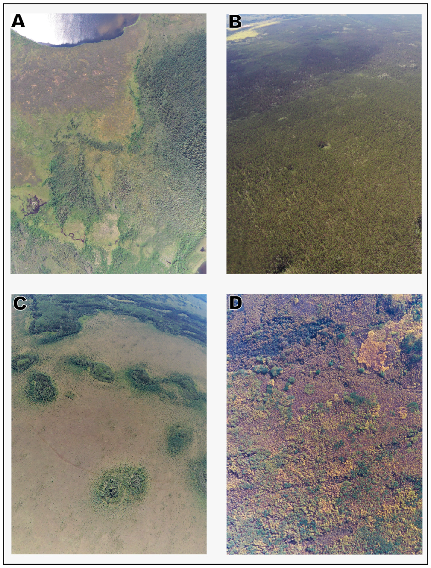 Forests 10 00534 g0a1 Forests 10 00534 g0a1
