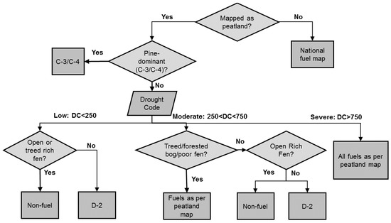 Forests 10 00534 g0a3