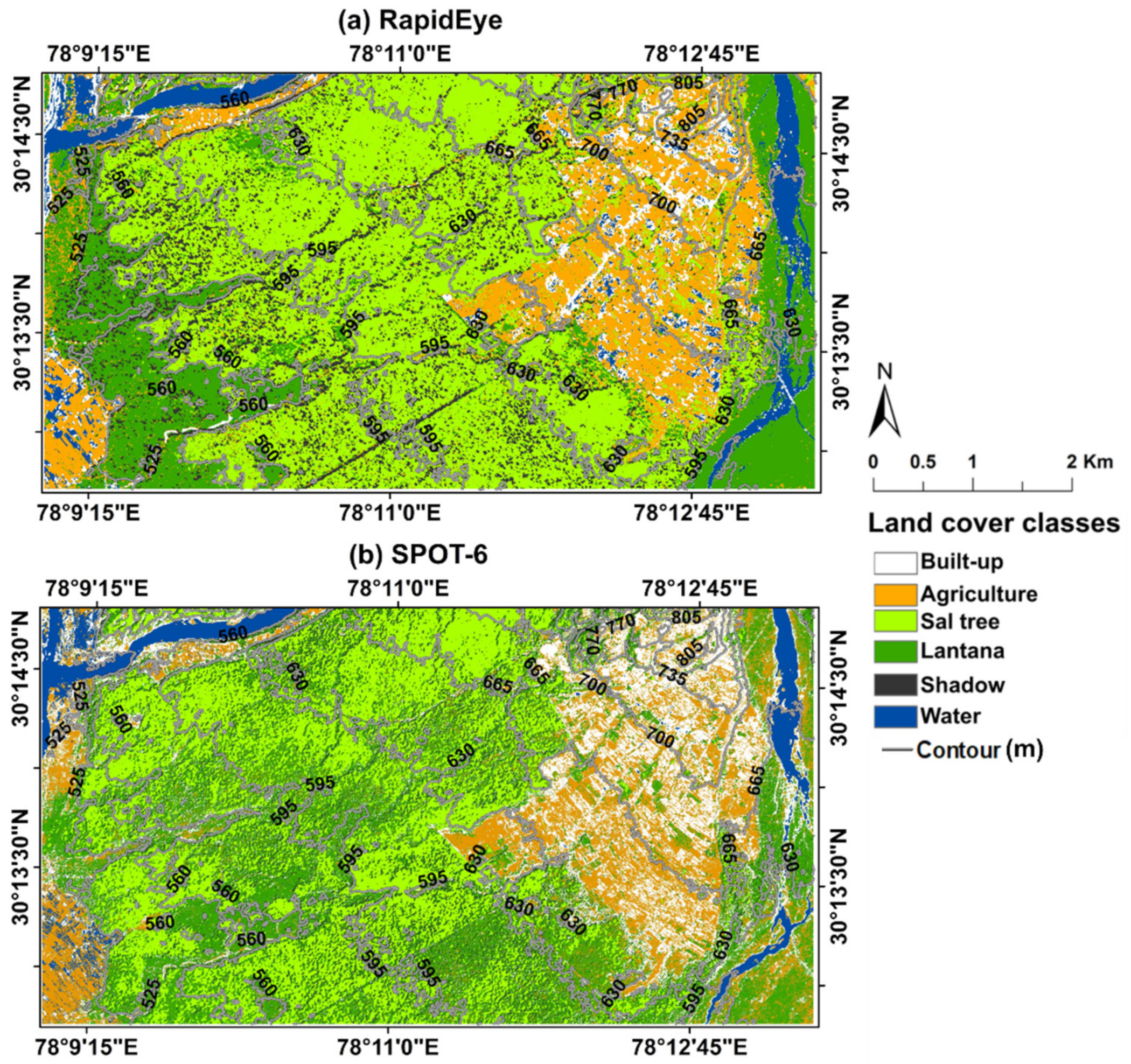 Forests 10 00540 g004