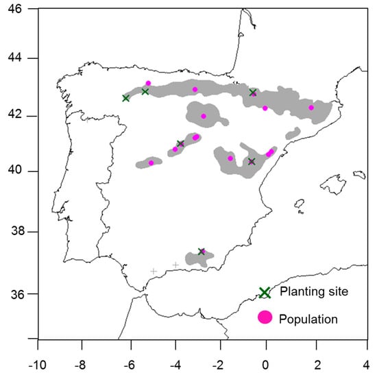 Forests 10 00555 g0a1