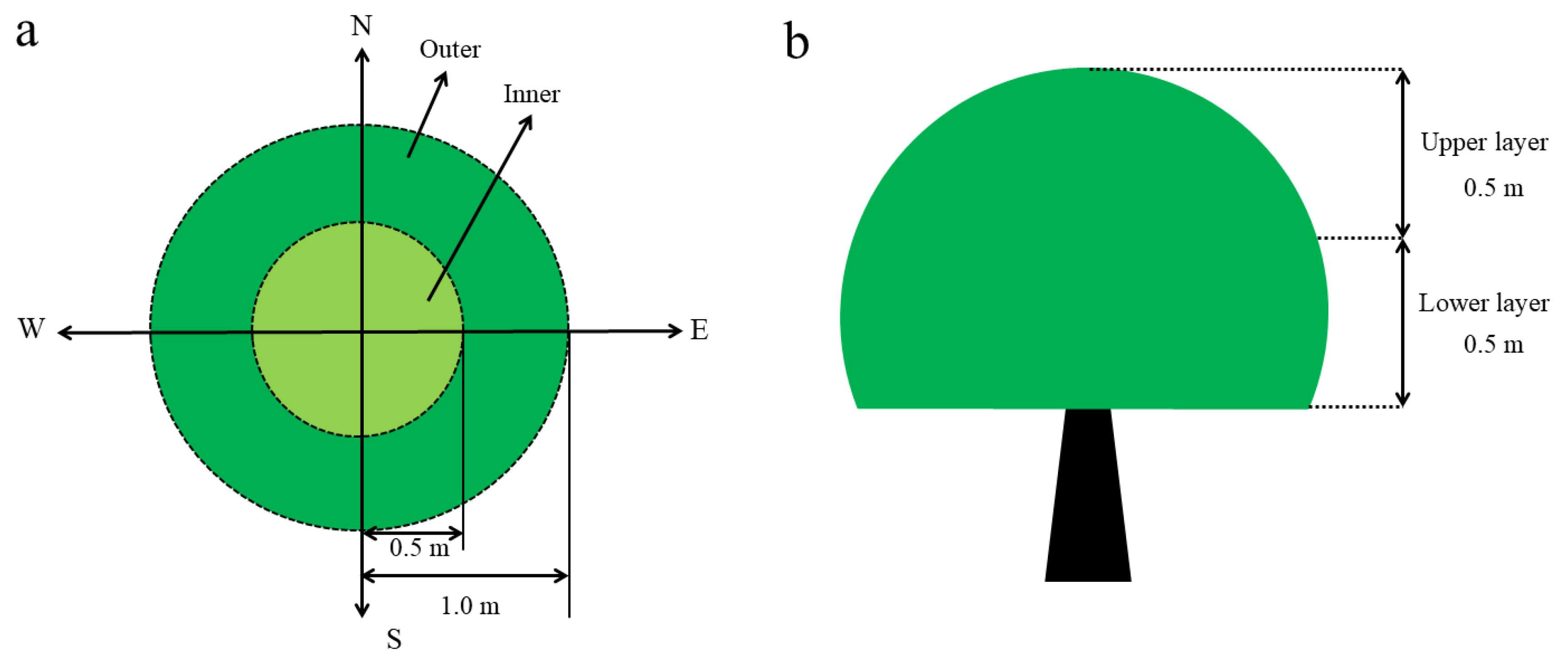 Forests 10 00563 g003