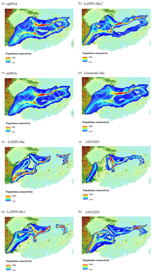 Forests 10 00565 g004