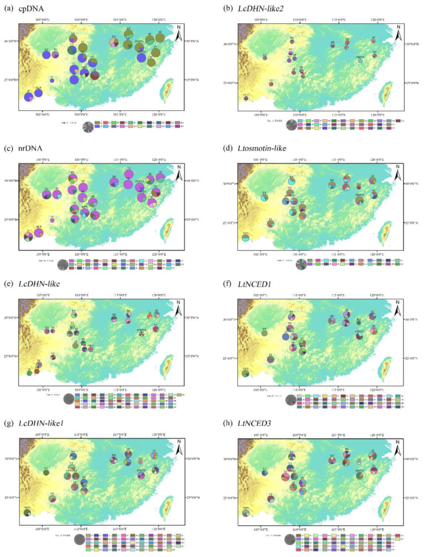 Forests 10 00565 g005