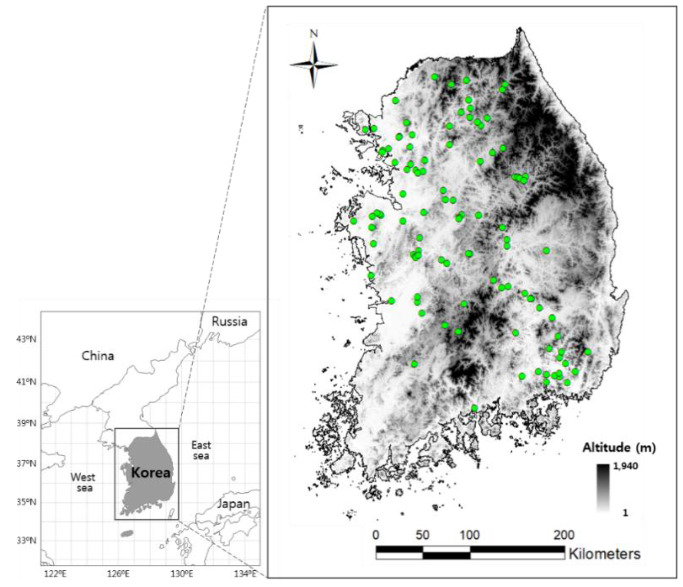 Forests 10 00583 g001 Forests 10 00583 g001
