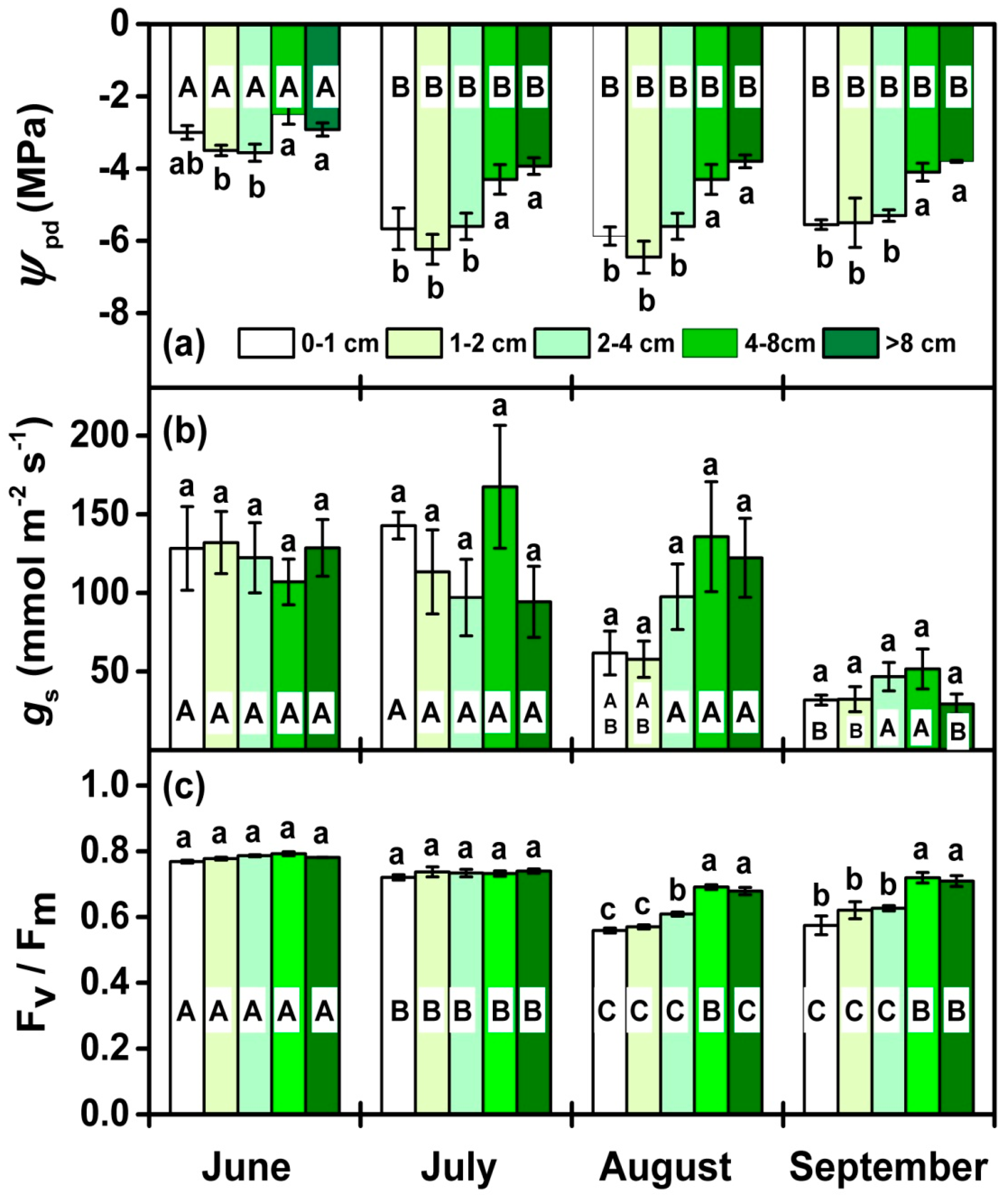 Forests 10 00592 g003
