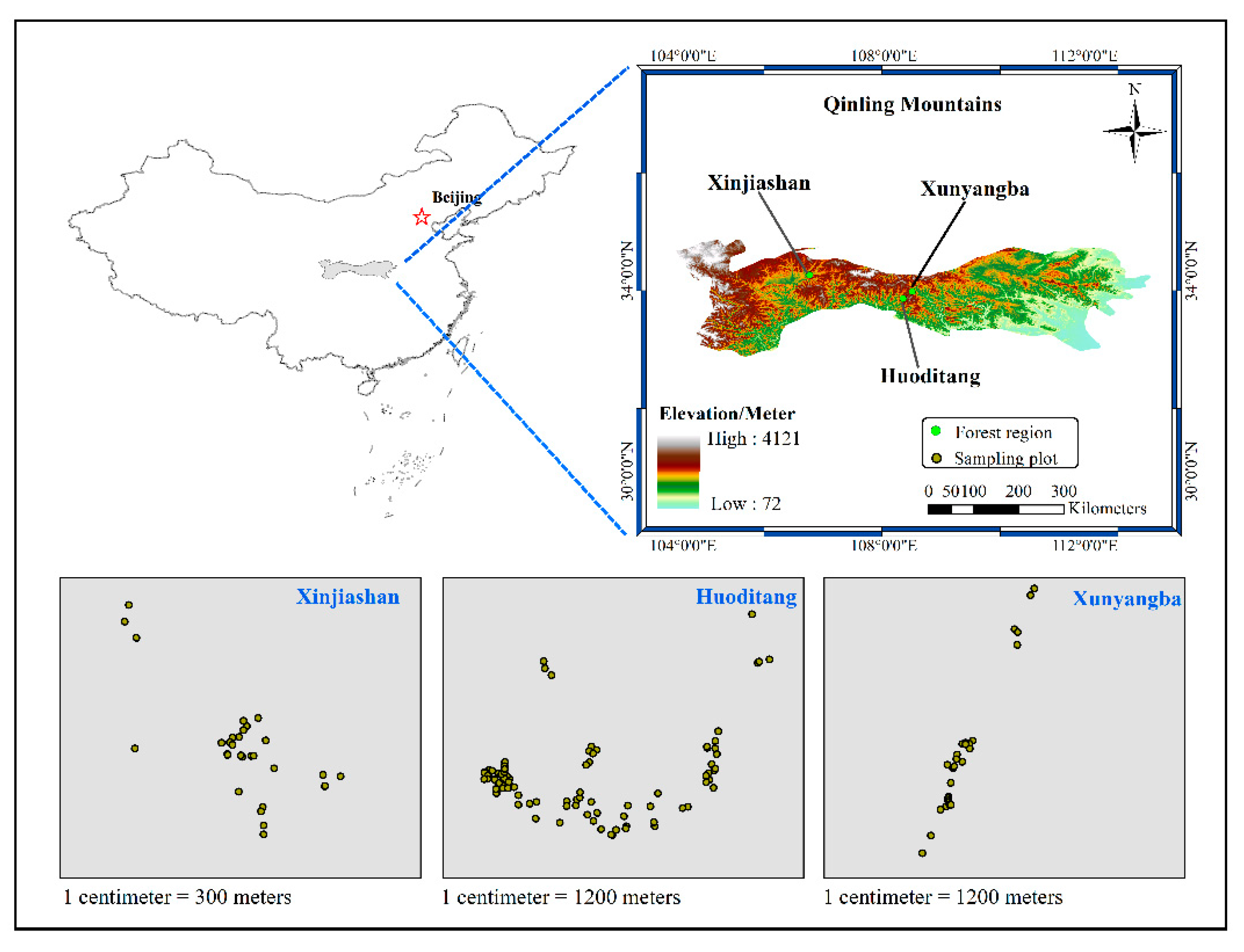 Forests 10 00596 g001