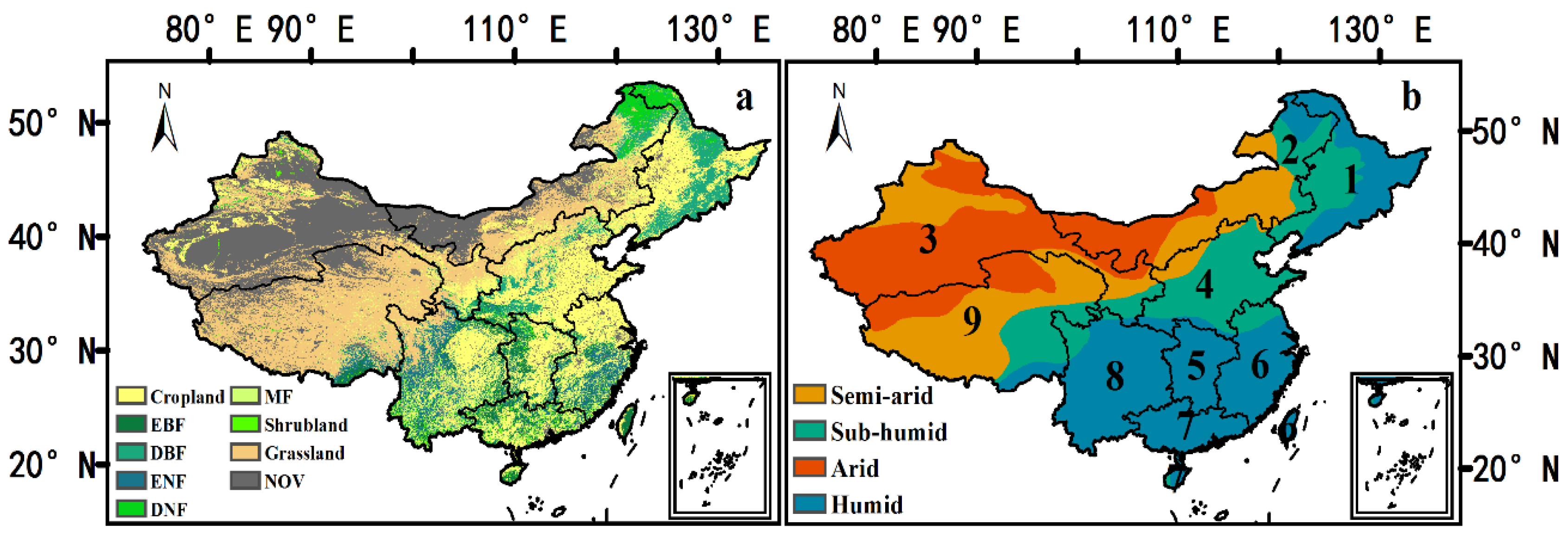 Forests 10 00598 g001