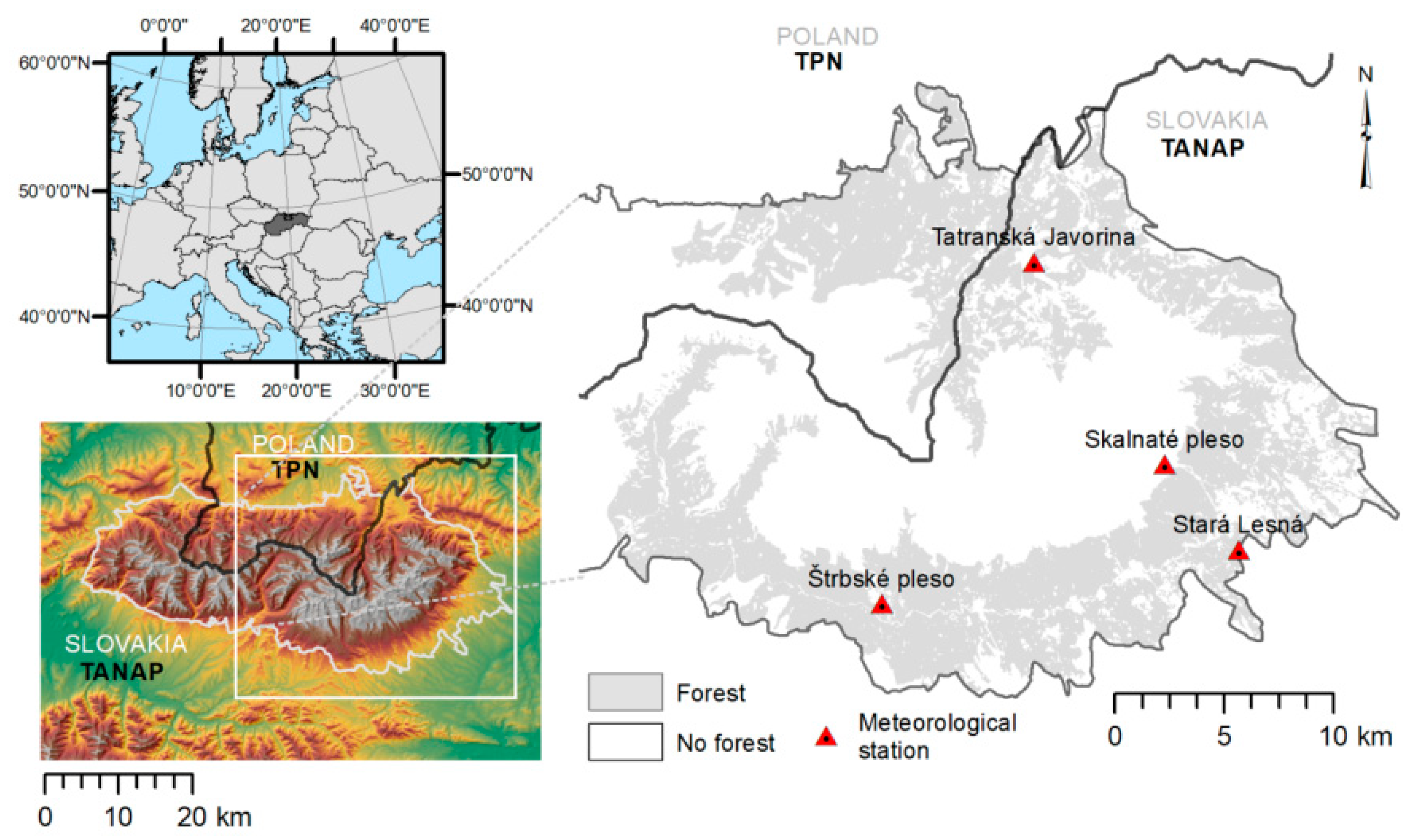 Forests 10 00604 g002