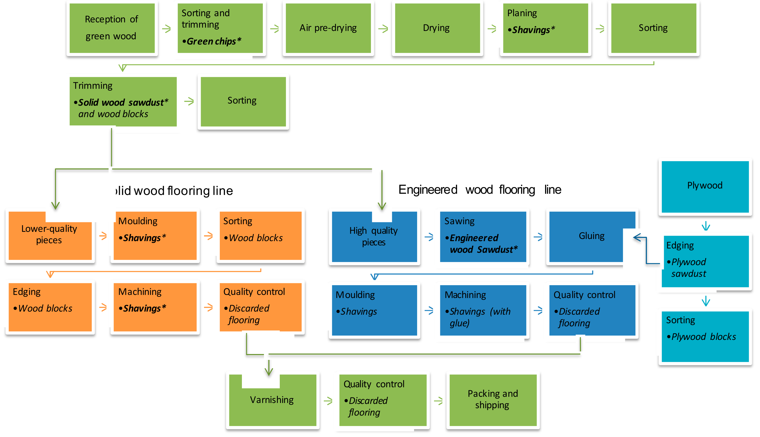Forests 10 00607 g001