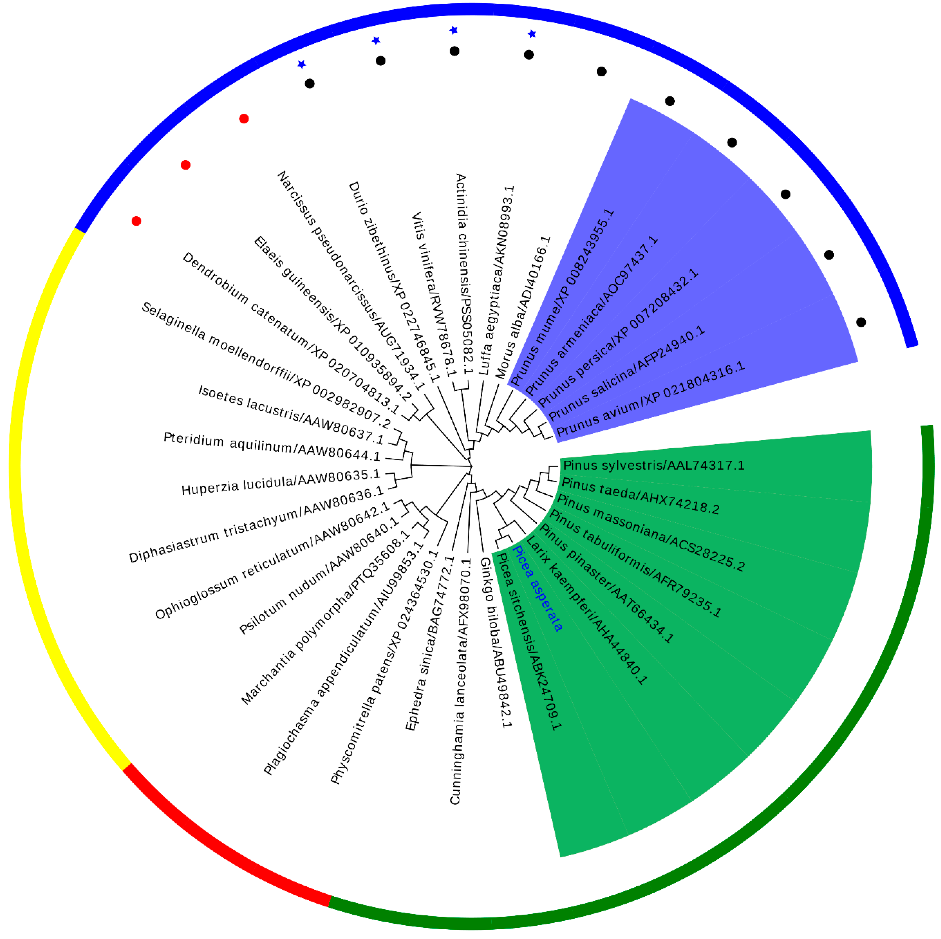 Forests 10 00613 g004