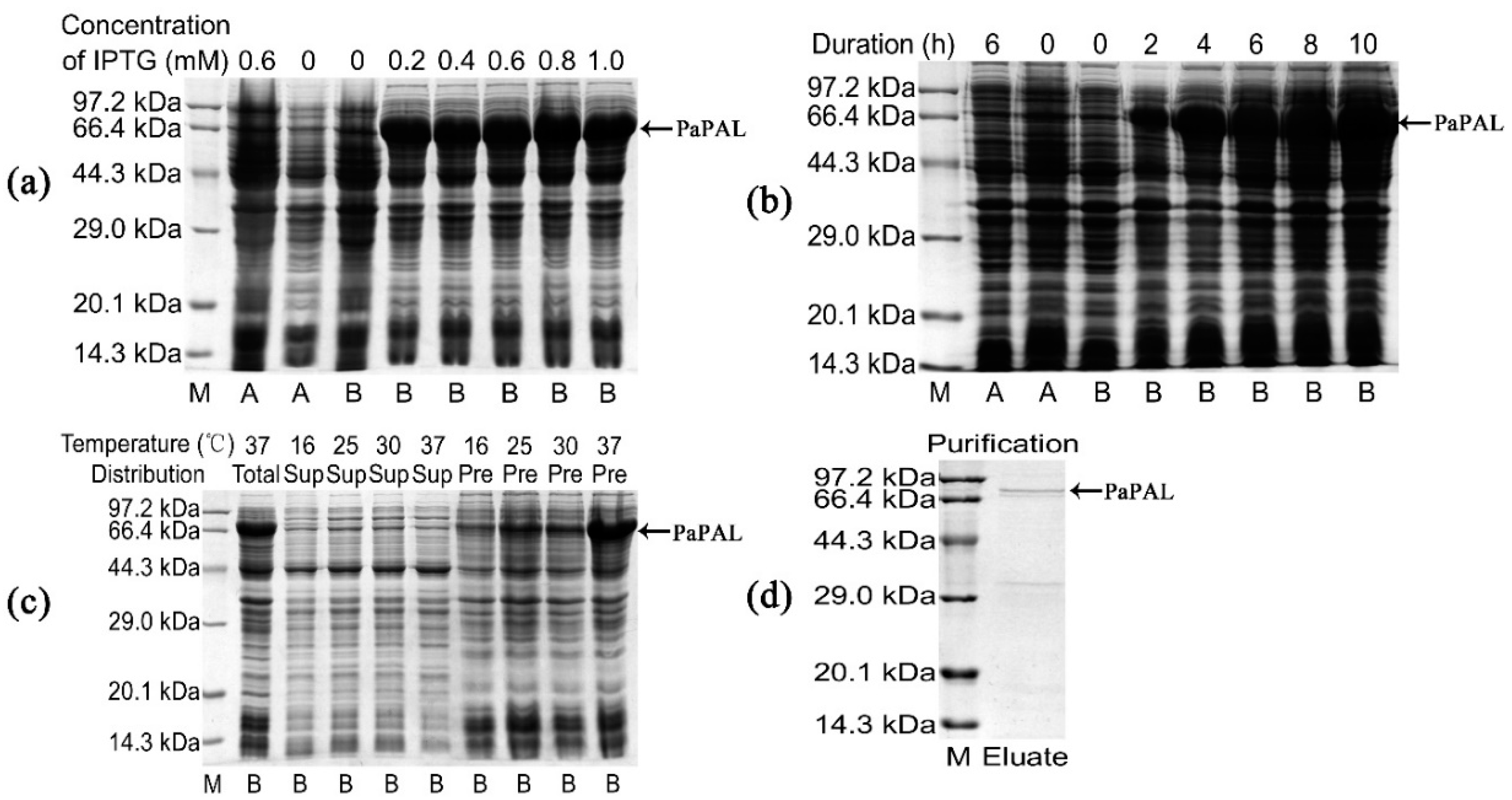 Forests 10 00613 g005