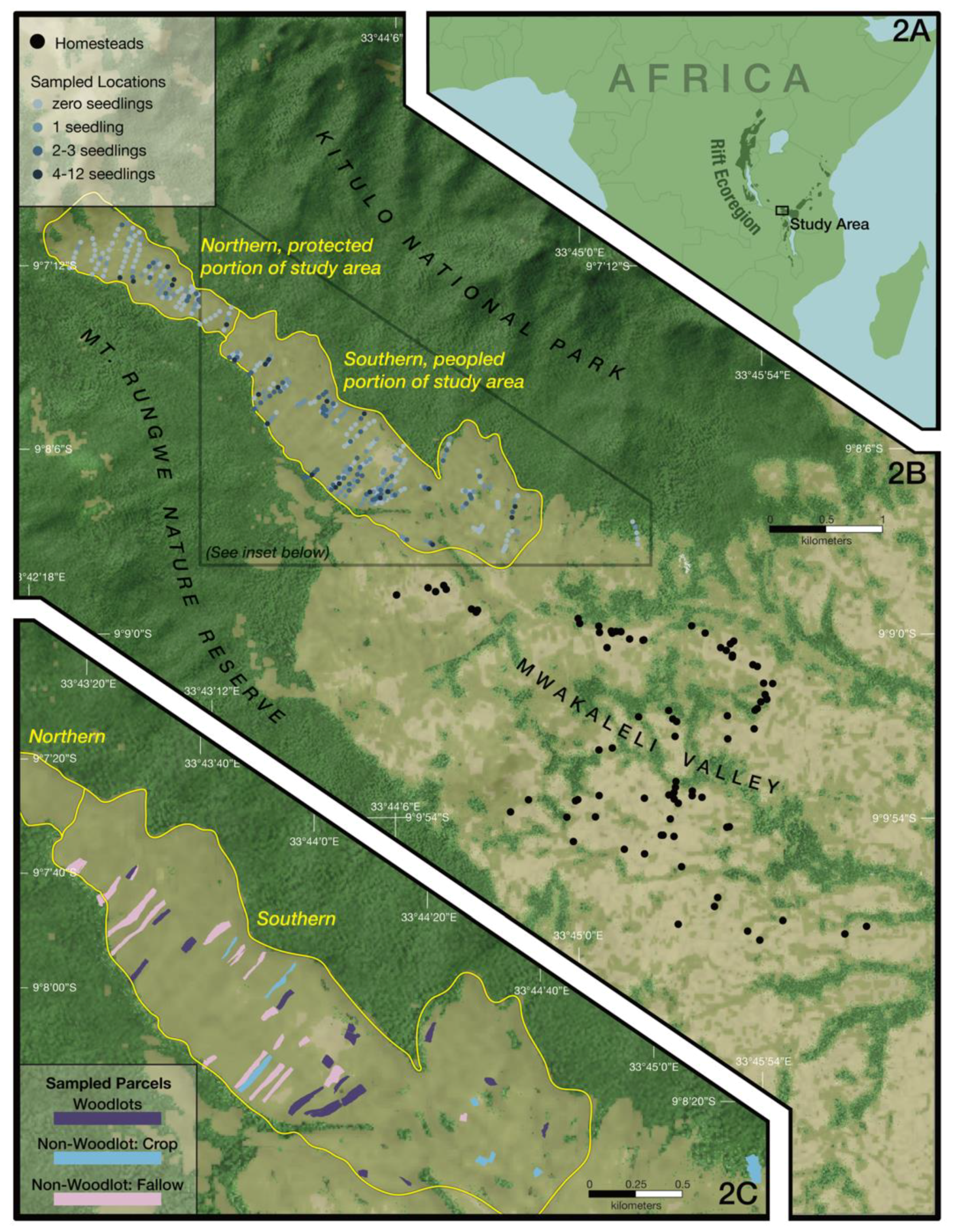 Forests 10 00621 g002