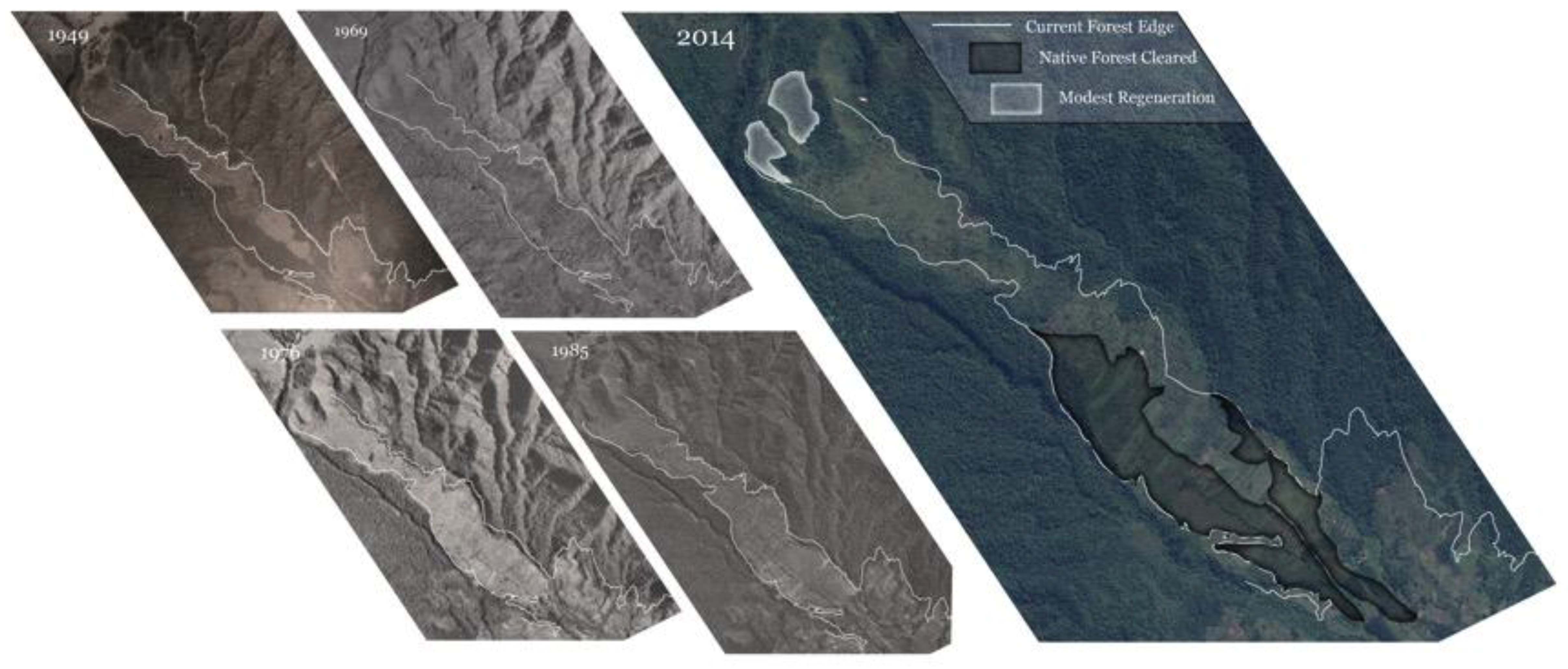Forests 10 00621 g0a1