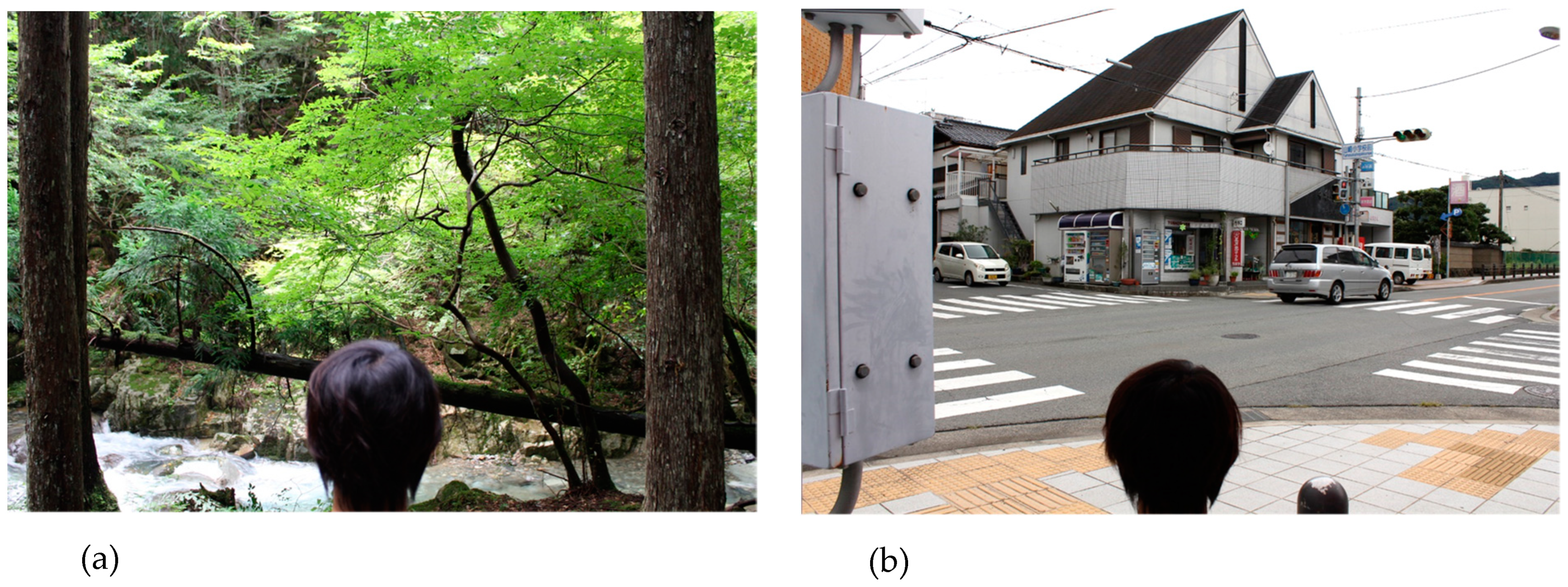 Forests 10 00635 g001 Forests 10 00635 g001