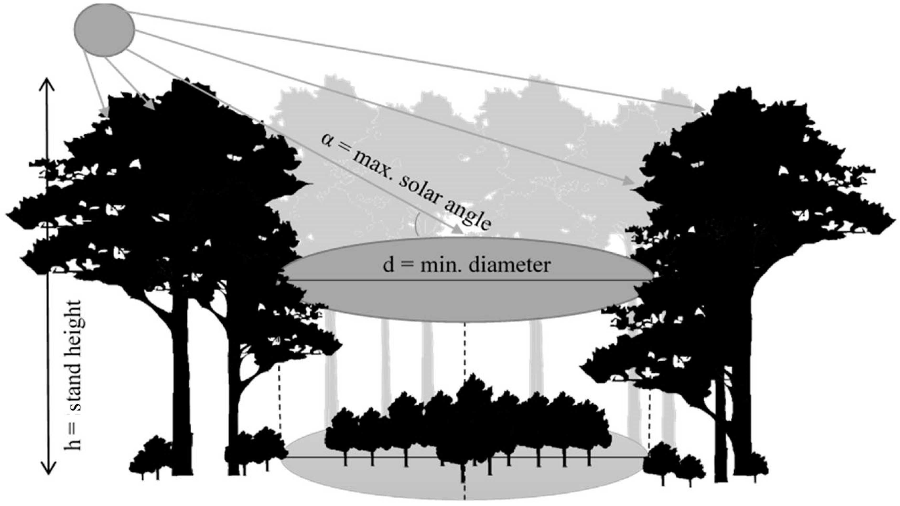 Forests 10 00637 g003 Forests 10 00637 g003
