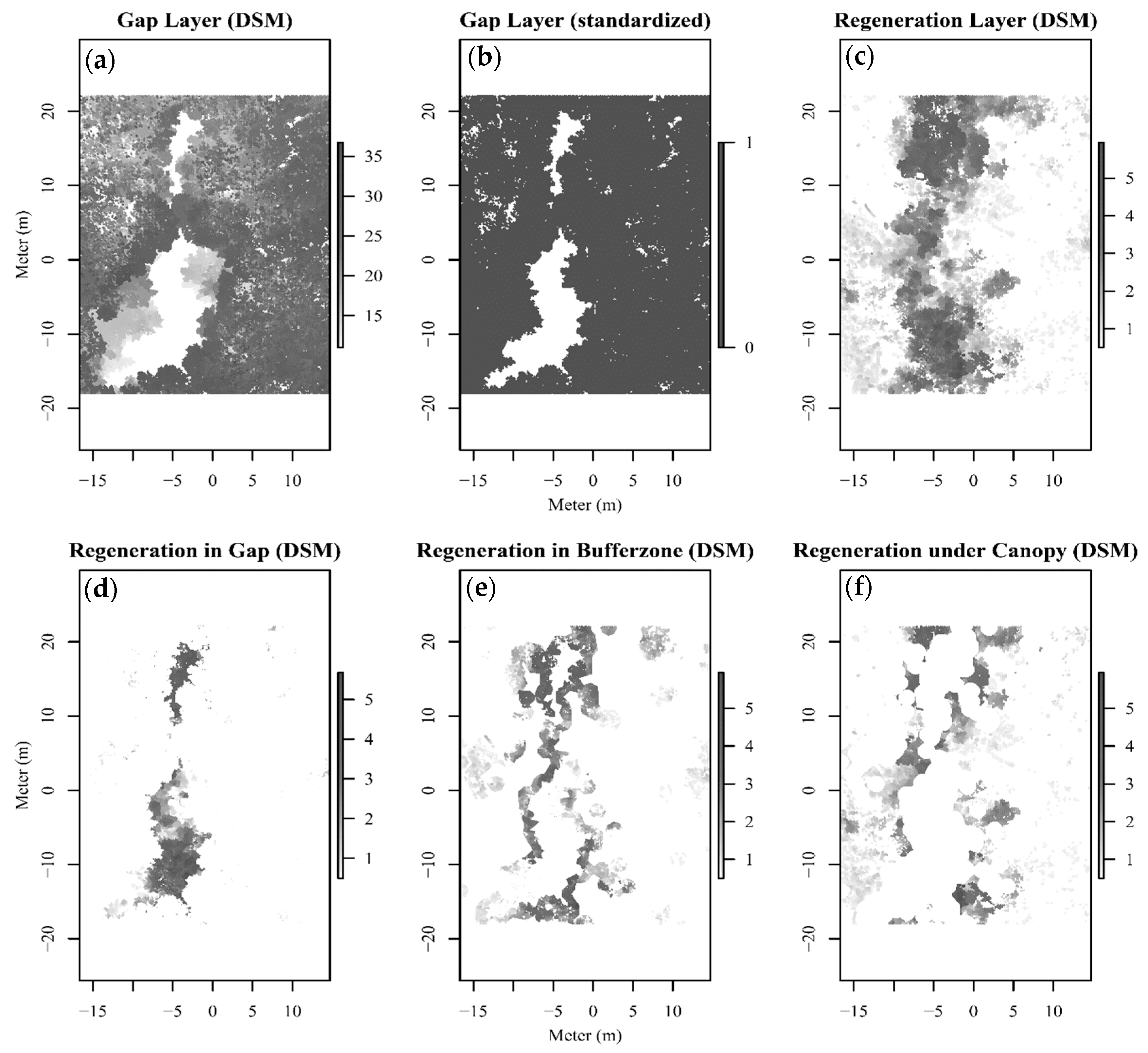 Forests 10 00637 g004 Forests 10 00637 g004