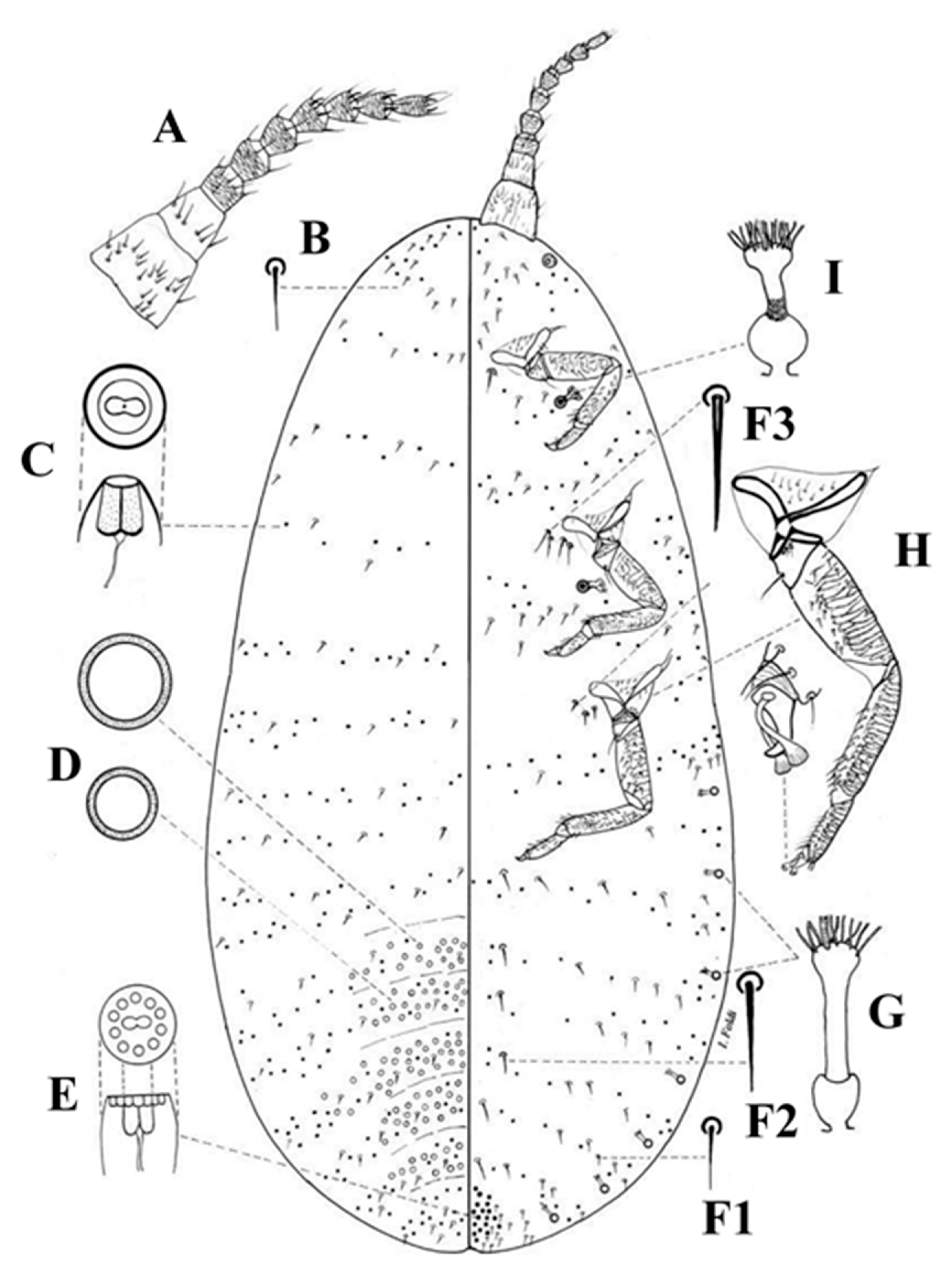Forests 10 00639 g003