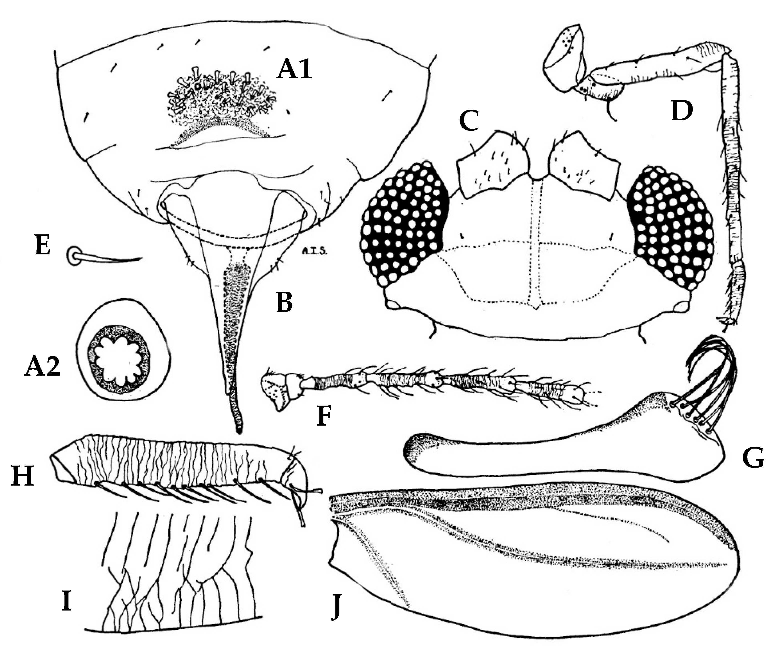 Forests 10 00639 g005