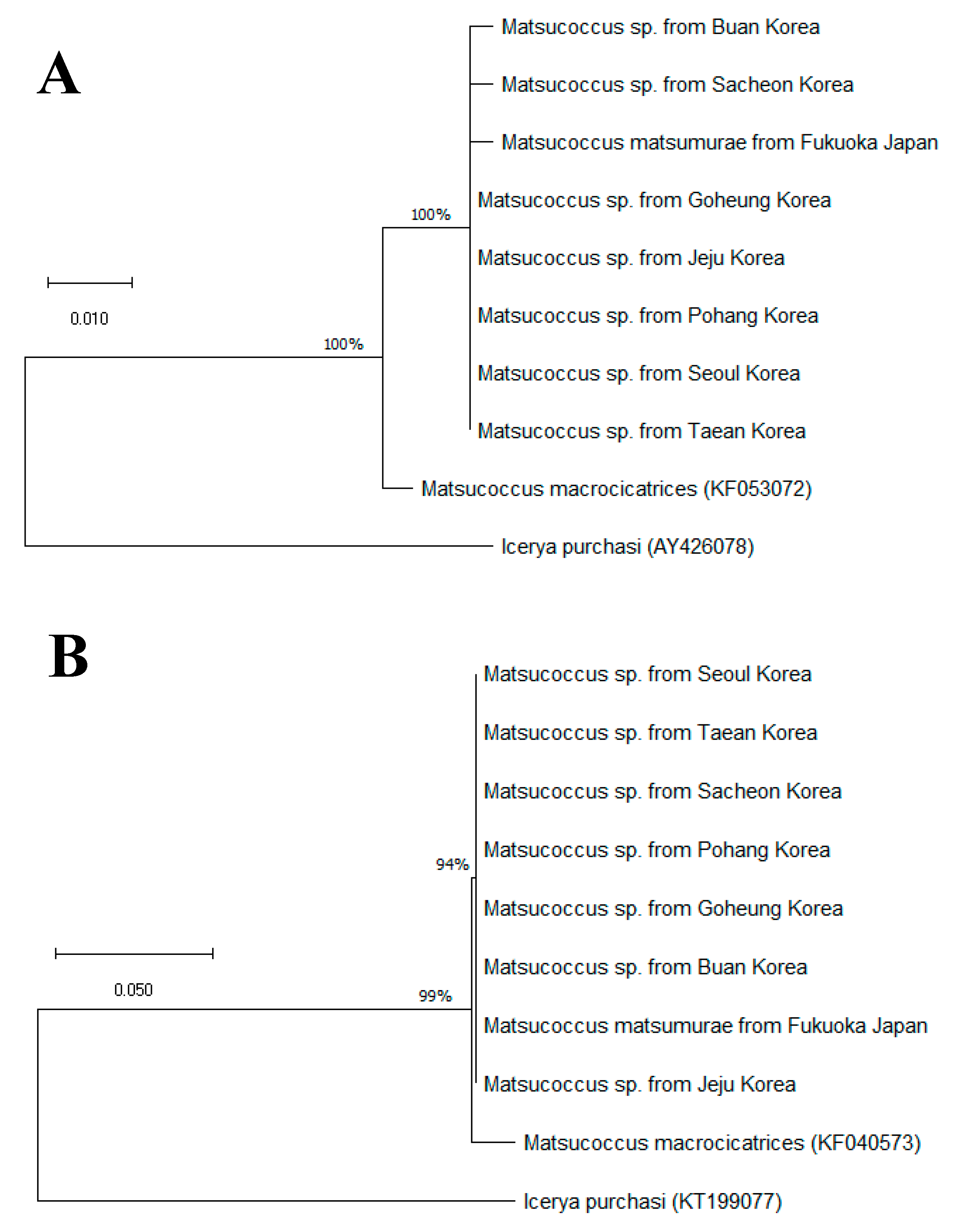 Forests 10 00639 g007