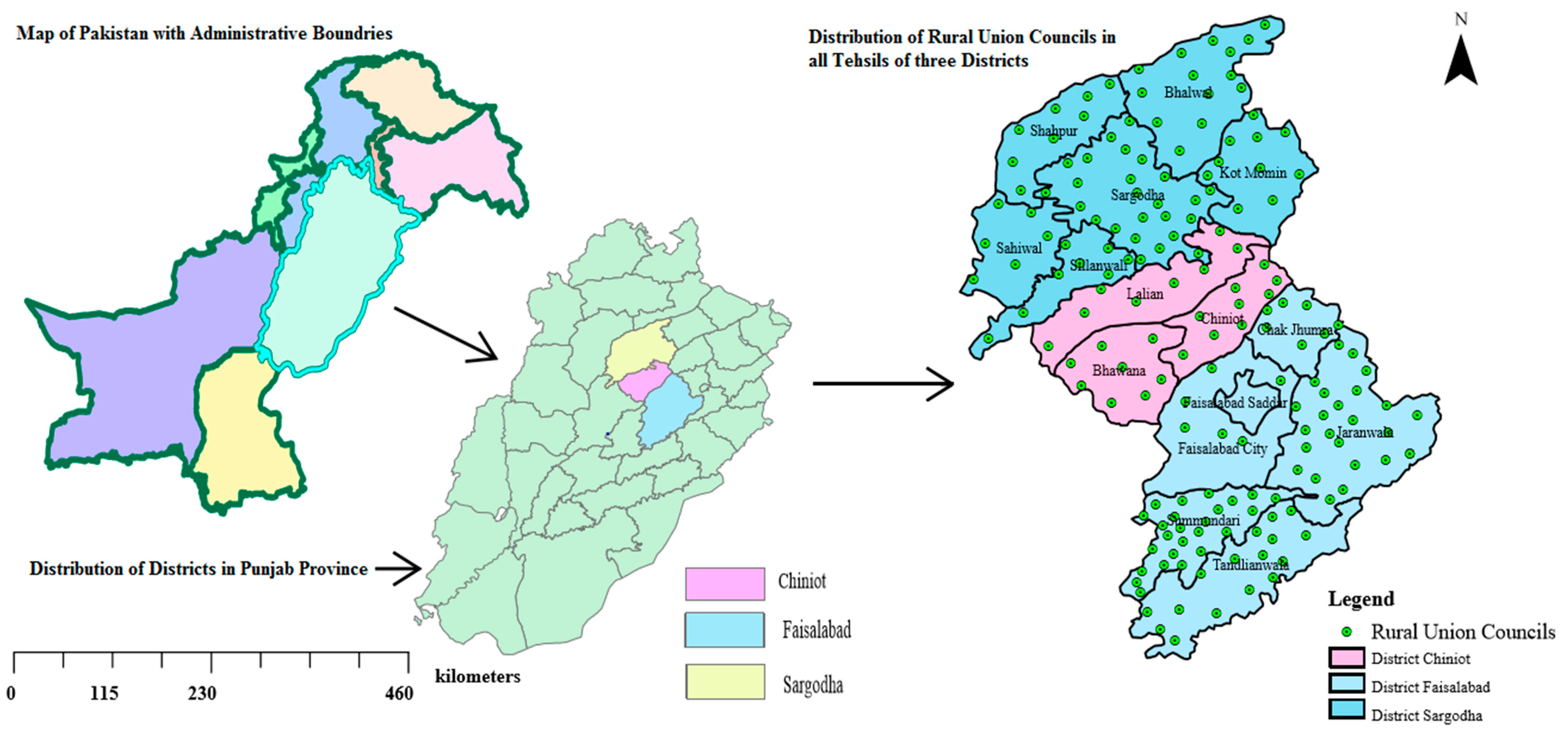 Forests 10 00640 g001