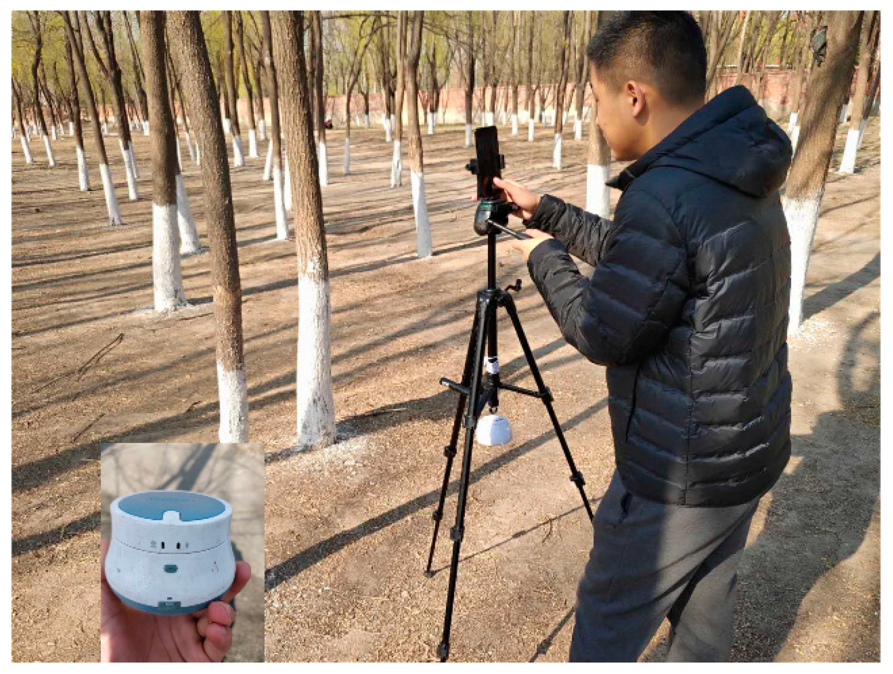 Forests 10 00643 g002