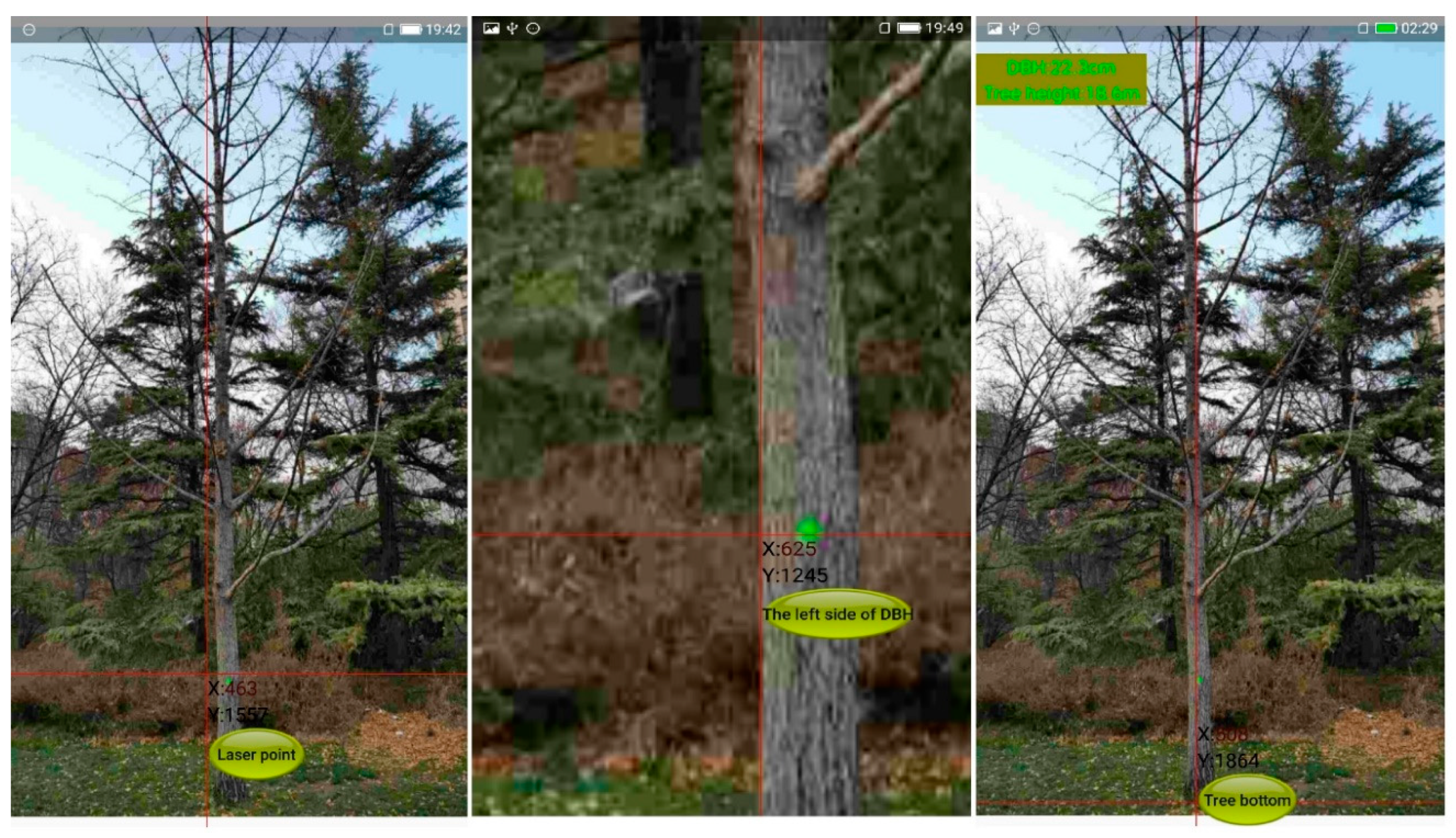 Forests 10 00643 g005