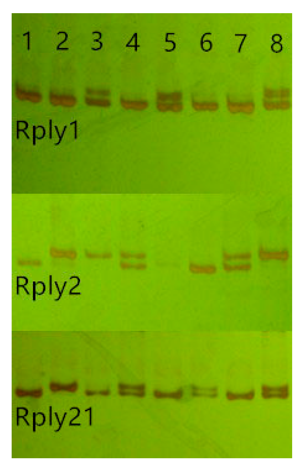 Forests 10 00644 g002