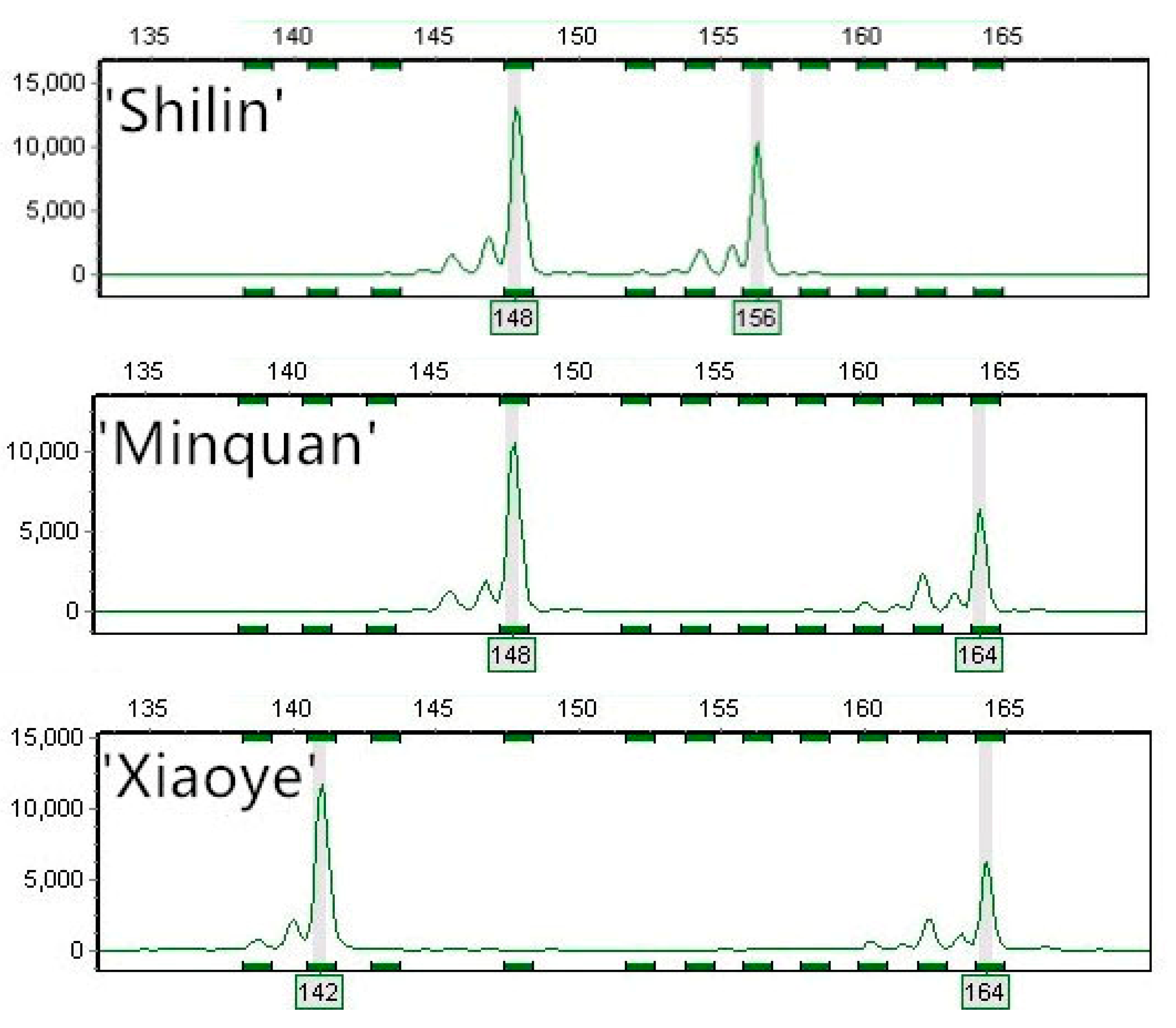 Forests 10 00644 g004