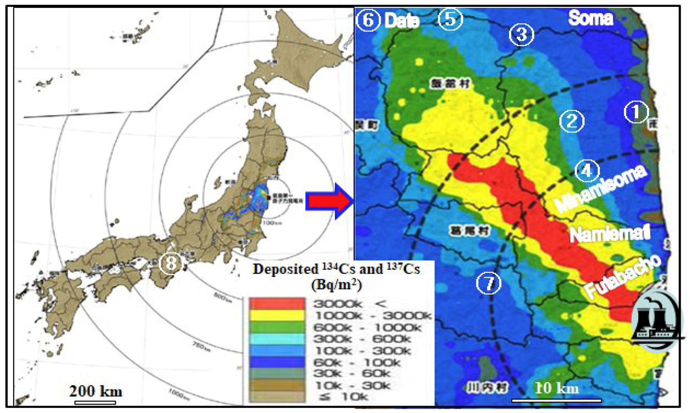 Forests 10 00652 g001