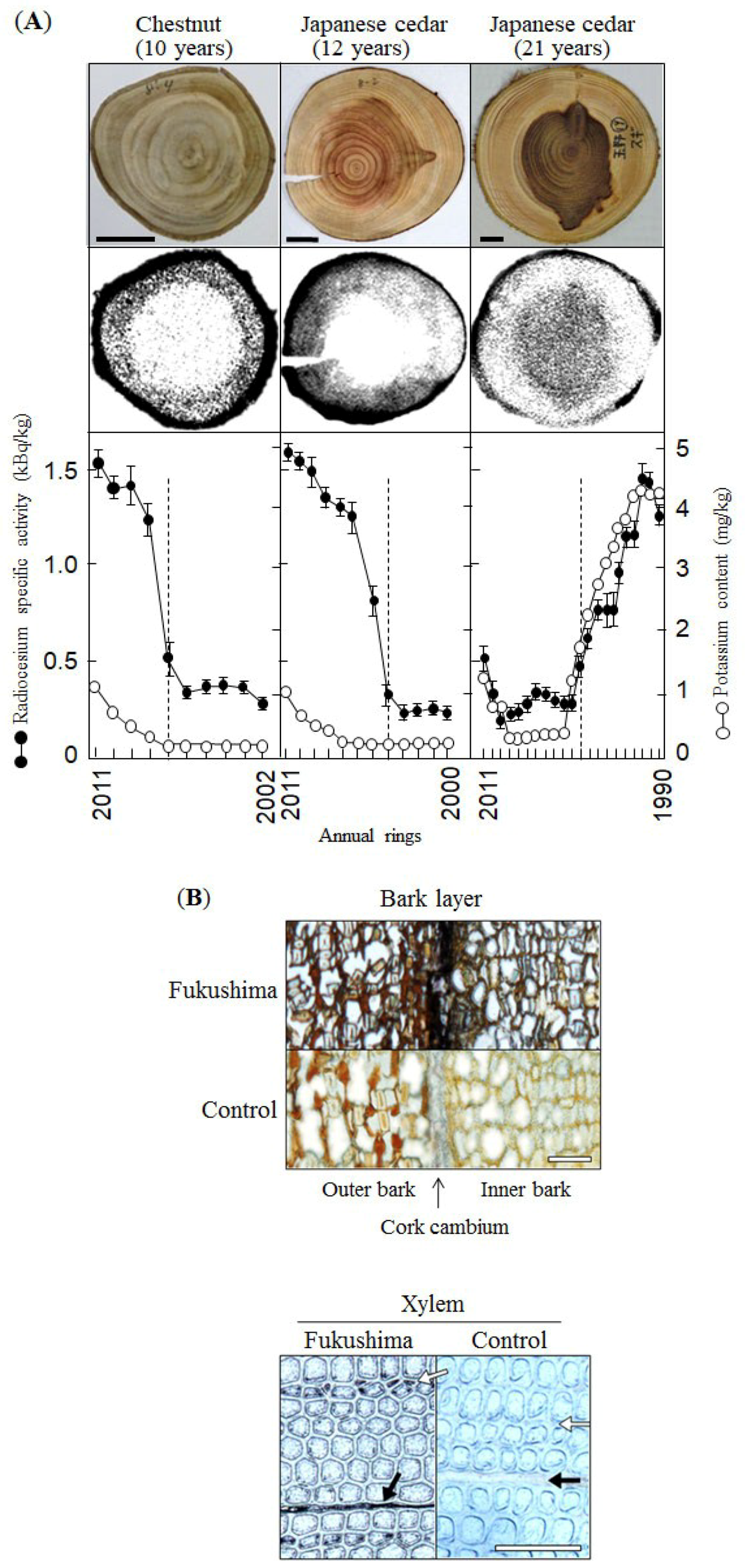 Forests 10 00652 g002