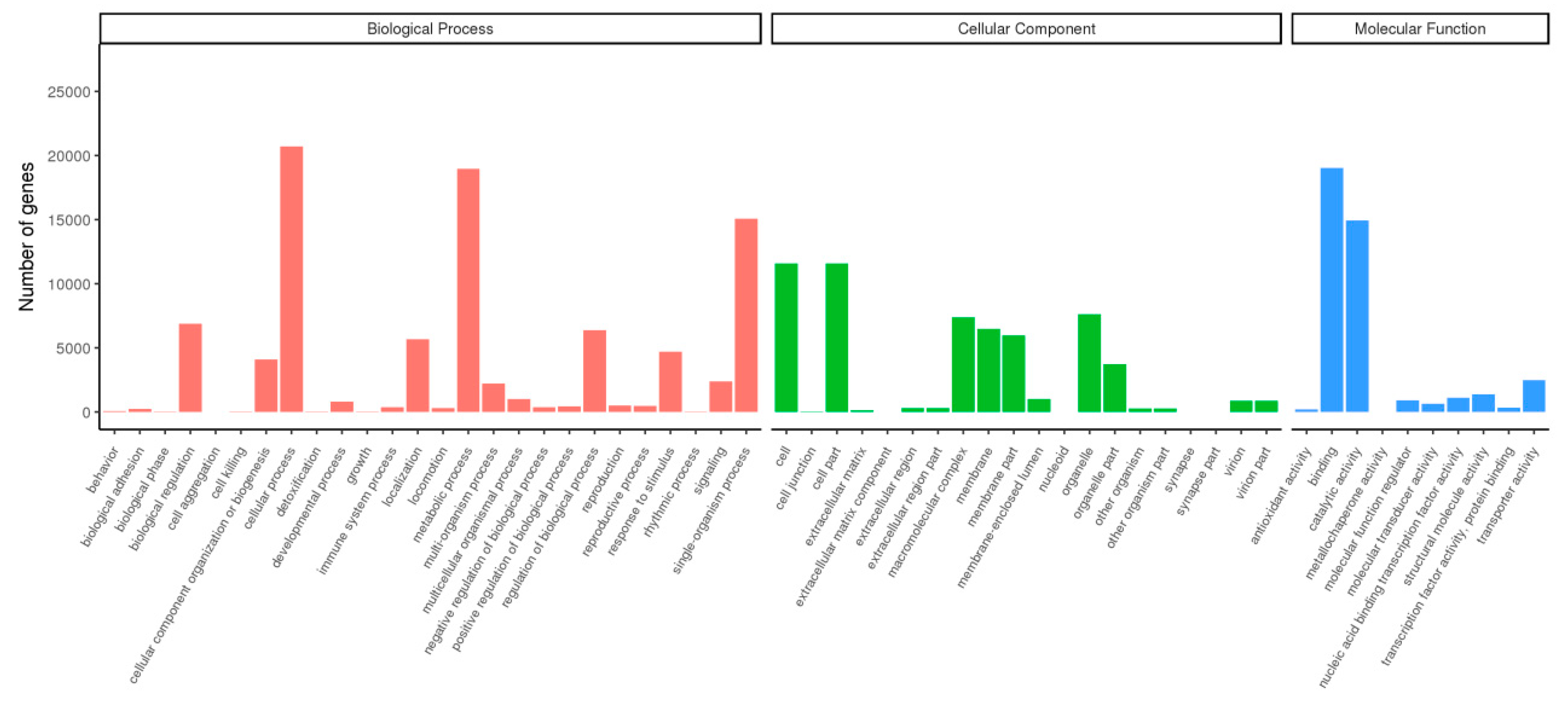 Forests 10 00656 g001