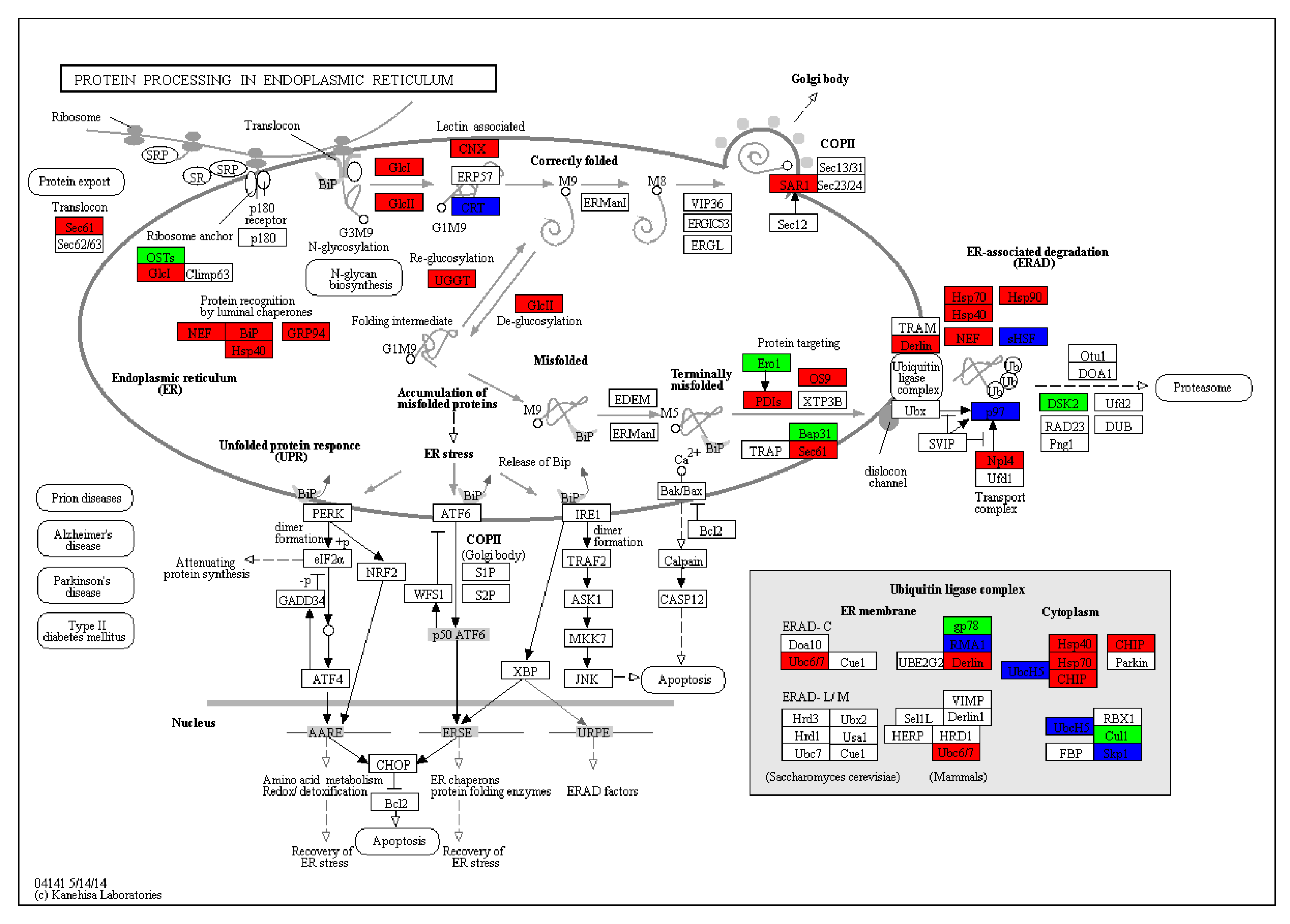Forests 10 00656 g005