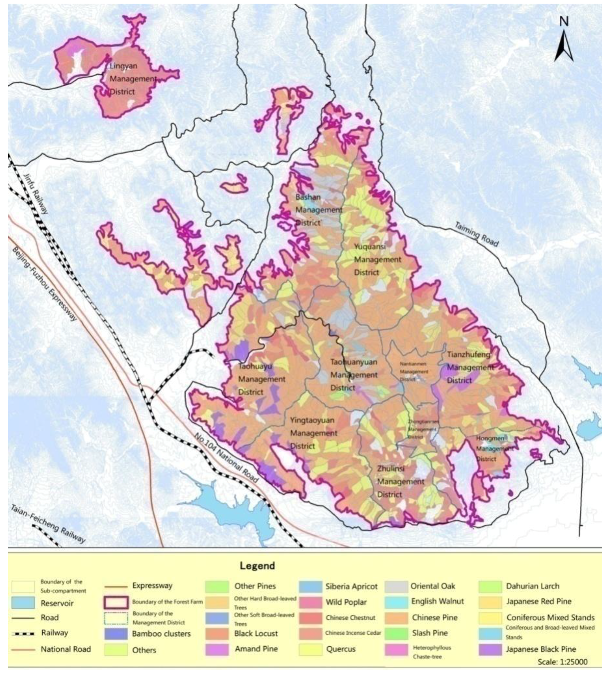 Forests 10 00657 g001