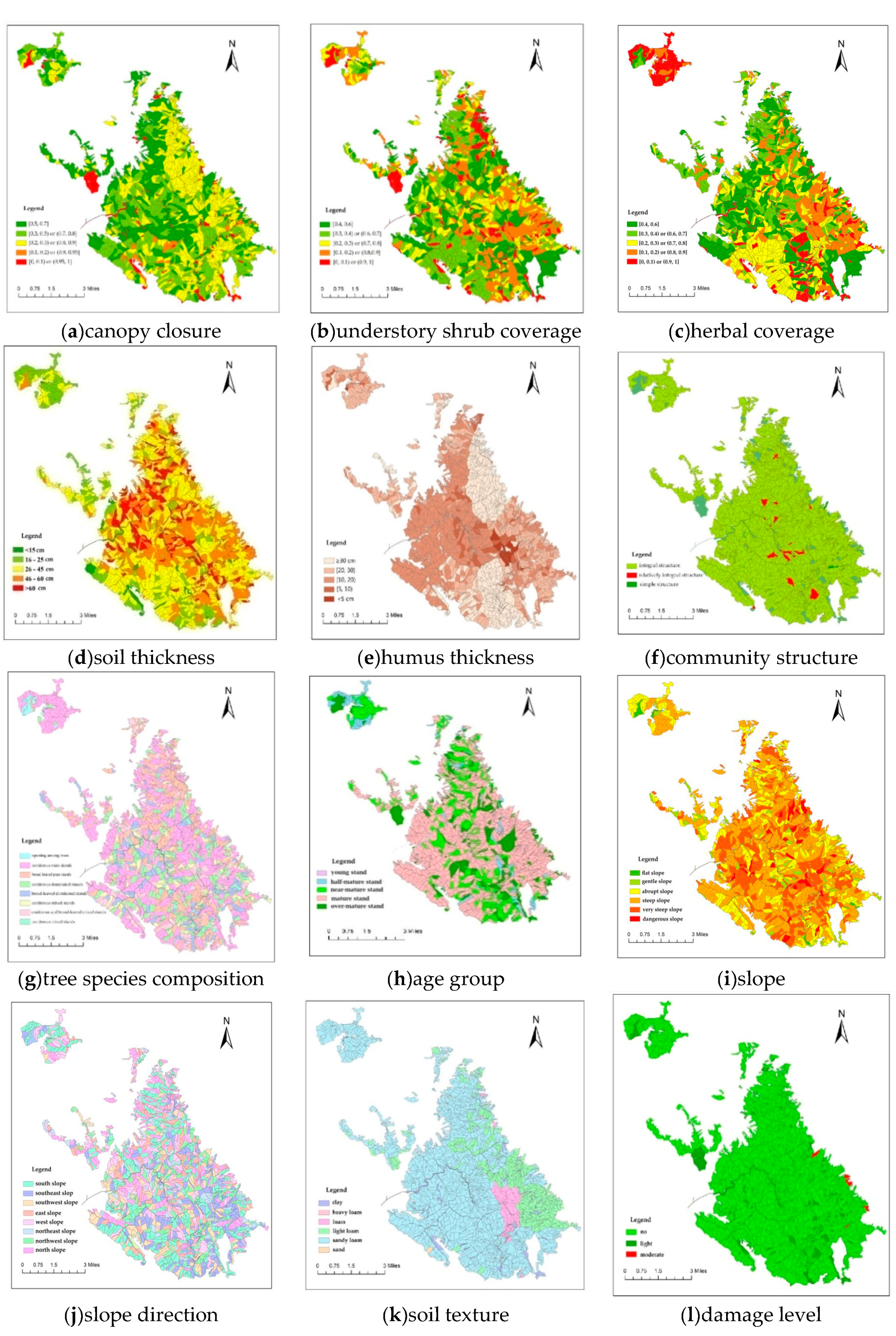 Forests 10 00657 g002