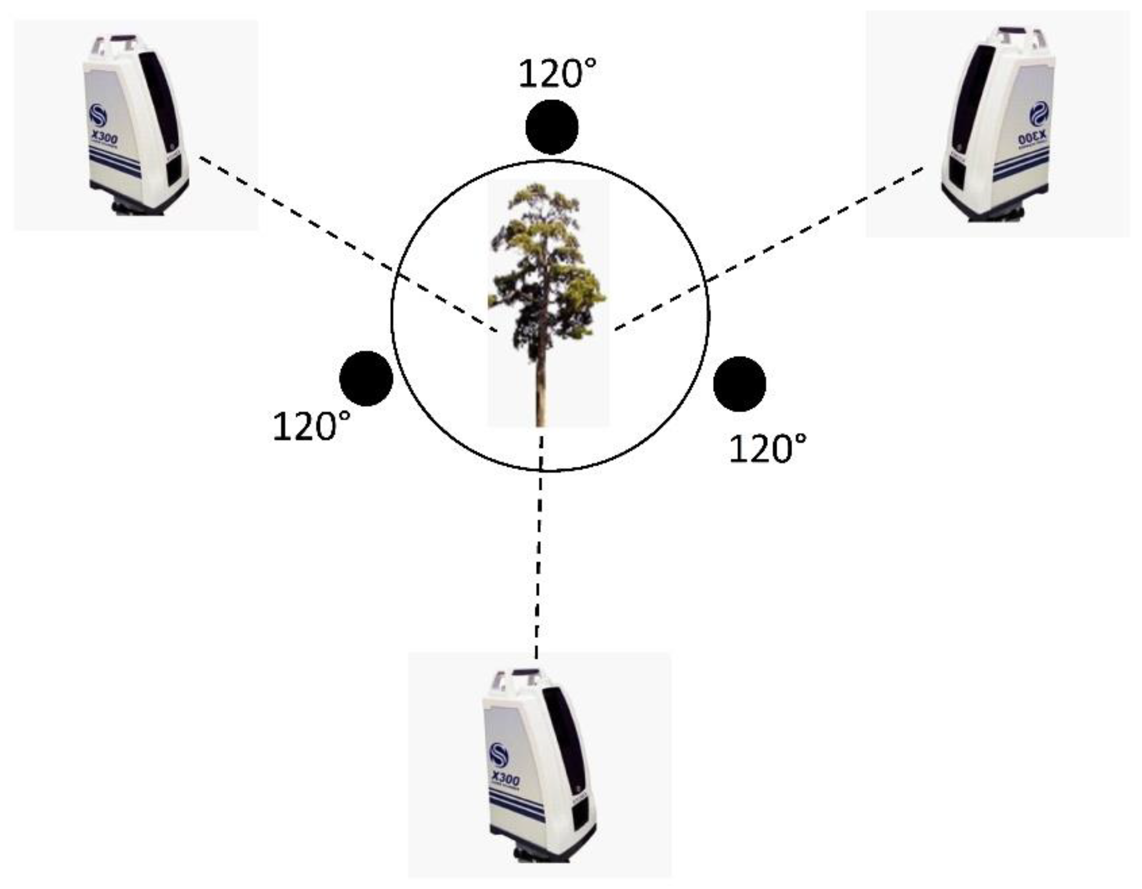 Forests 10 00660 g002
