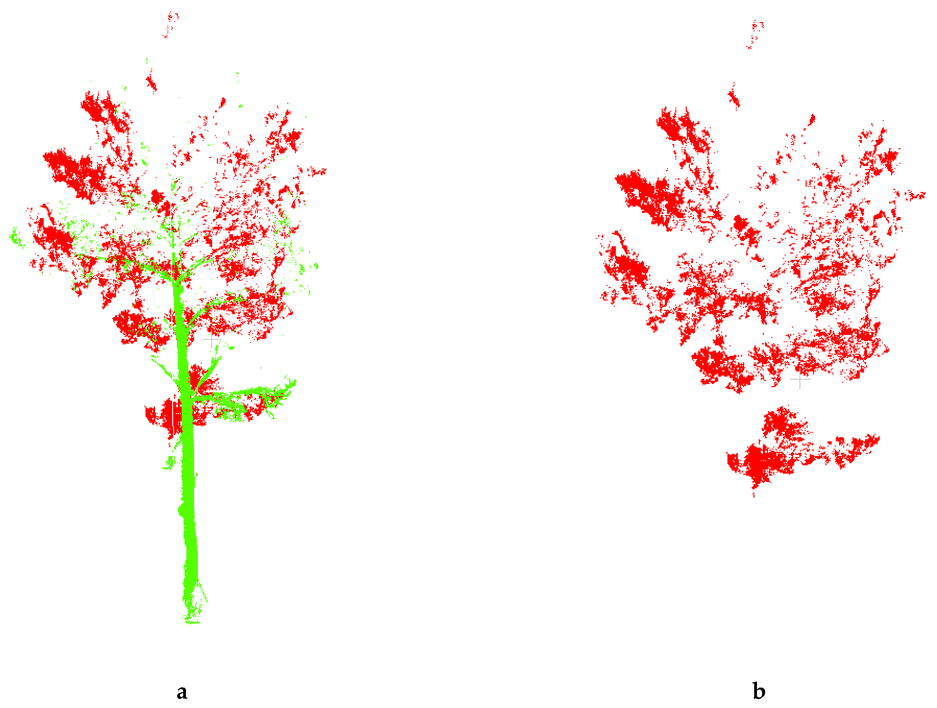 Forests 10 00660 g004