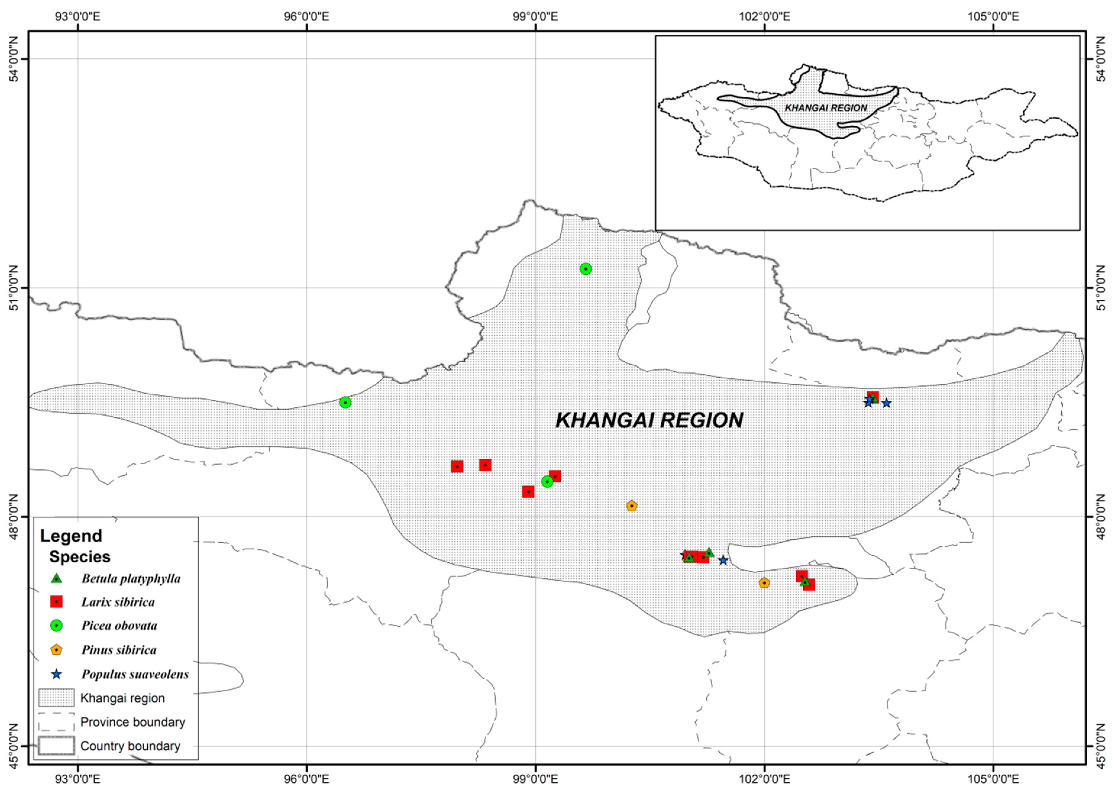 Forests 10 00661 g001