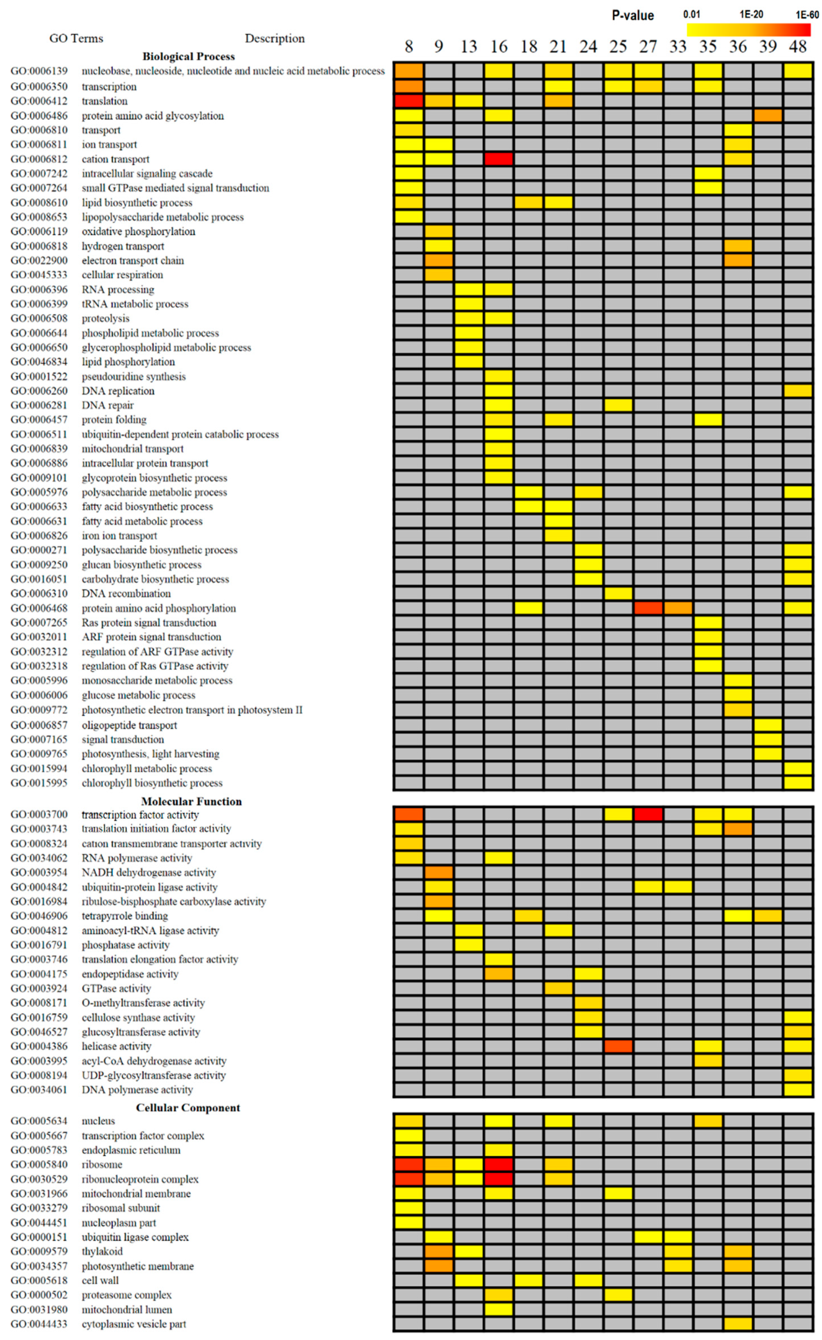 Forests 10 00664 g002