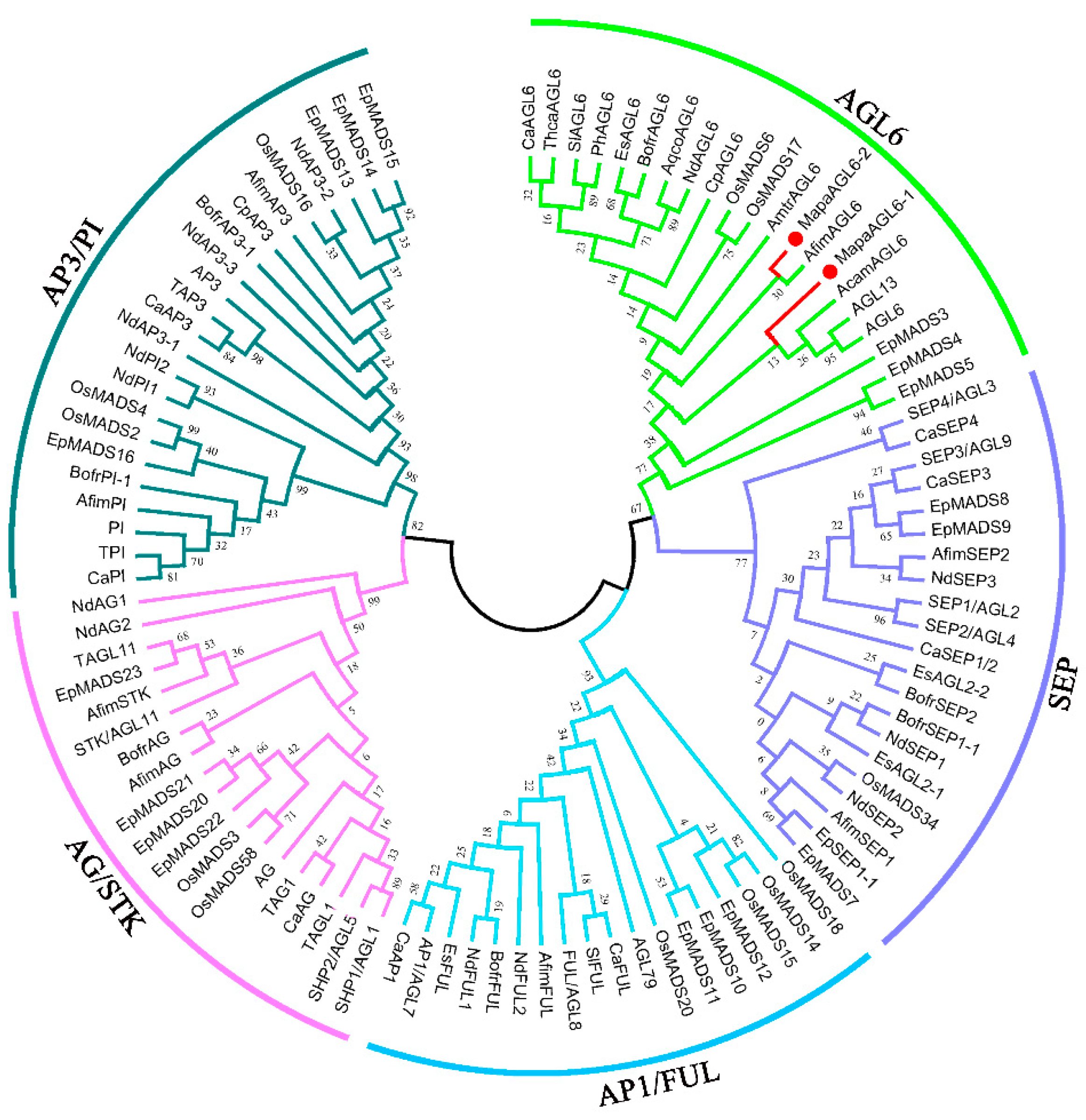 Forests 10 00669 g002