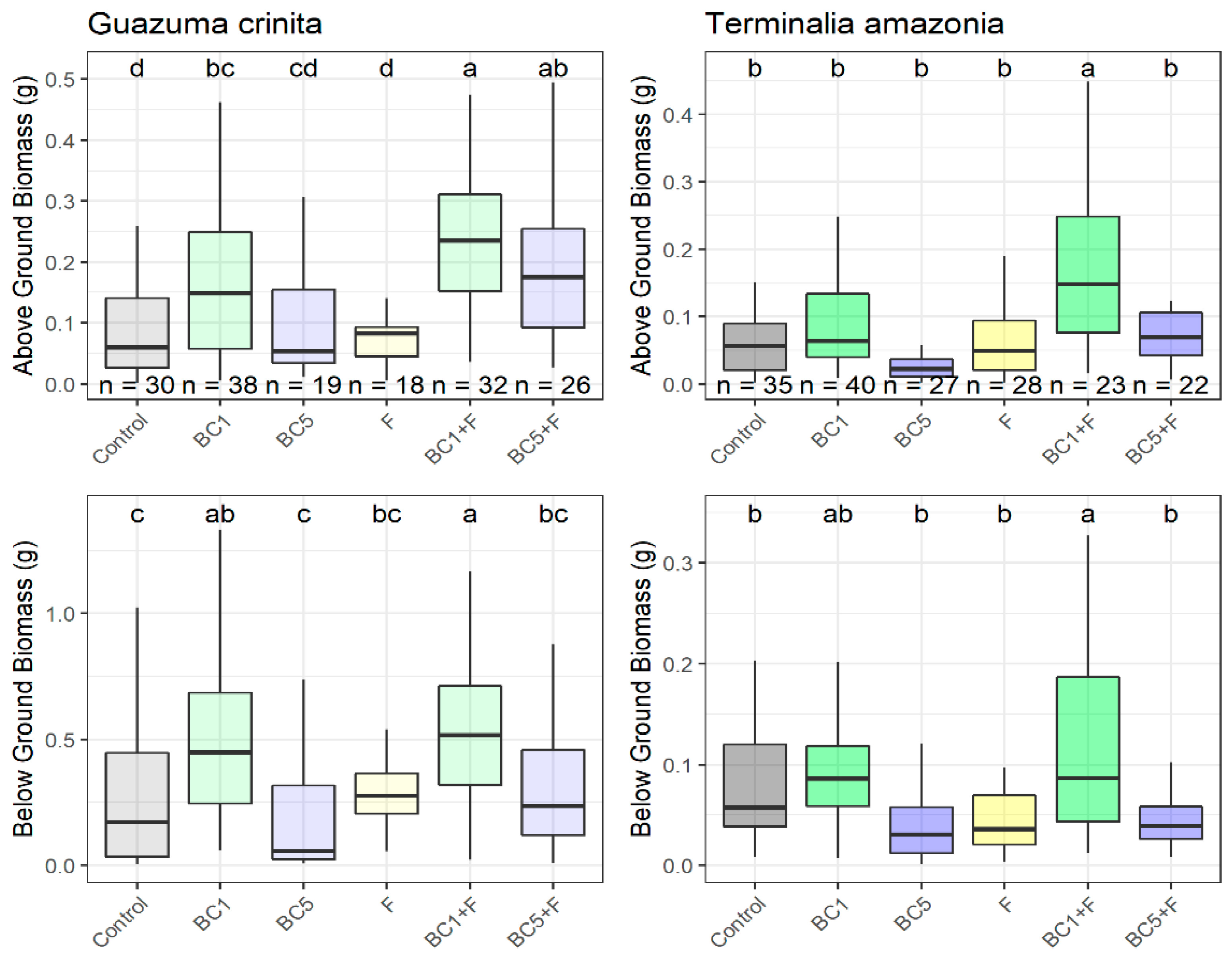 Forests 10 00678 g003