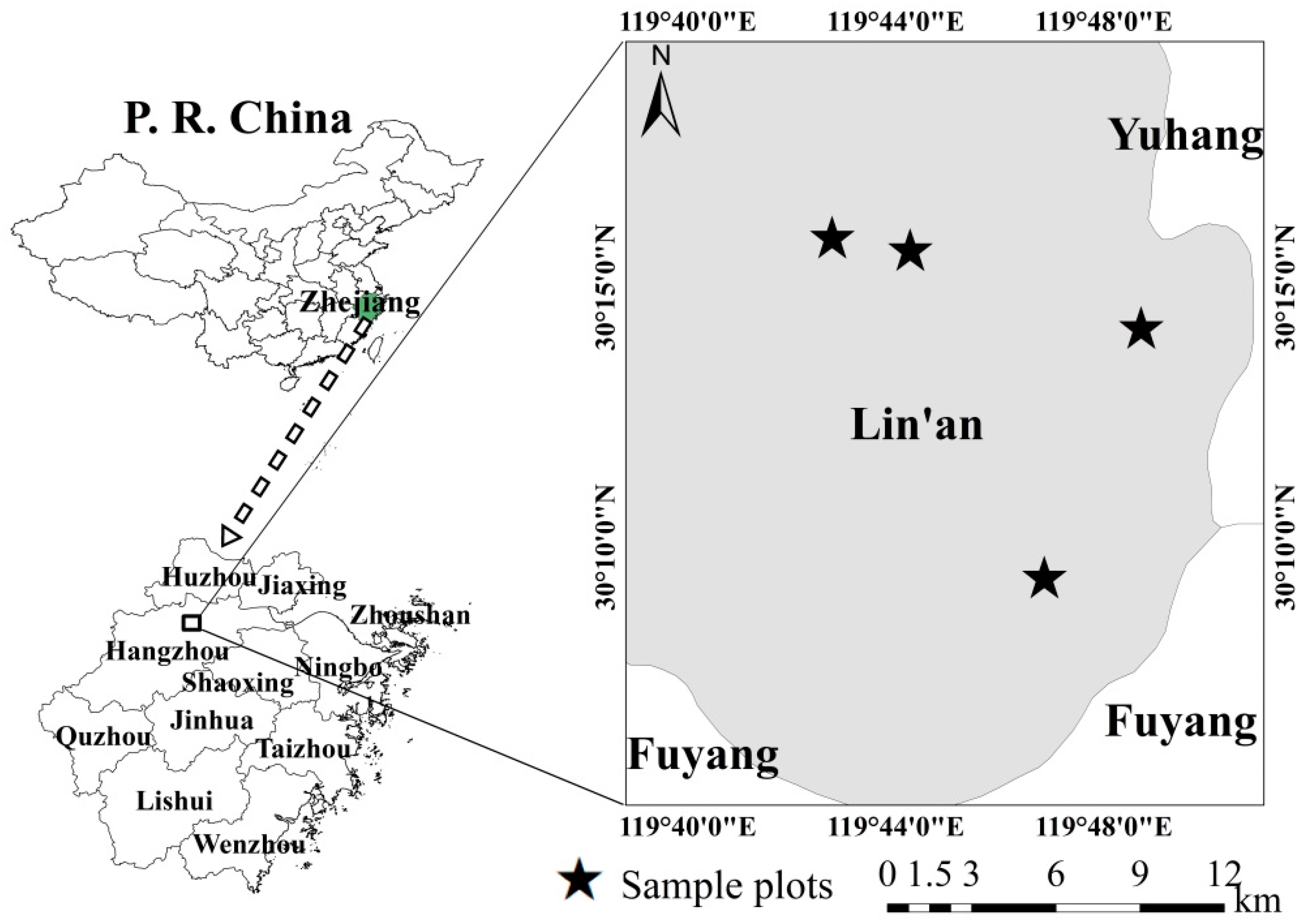 Forests 10 00686 g001