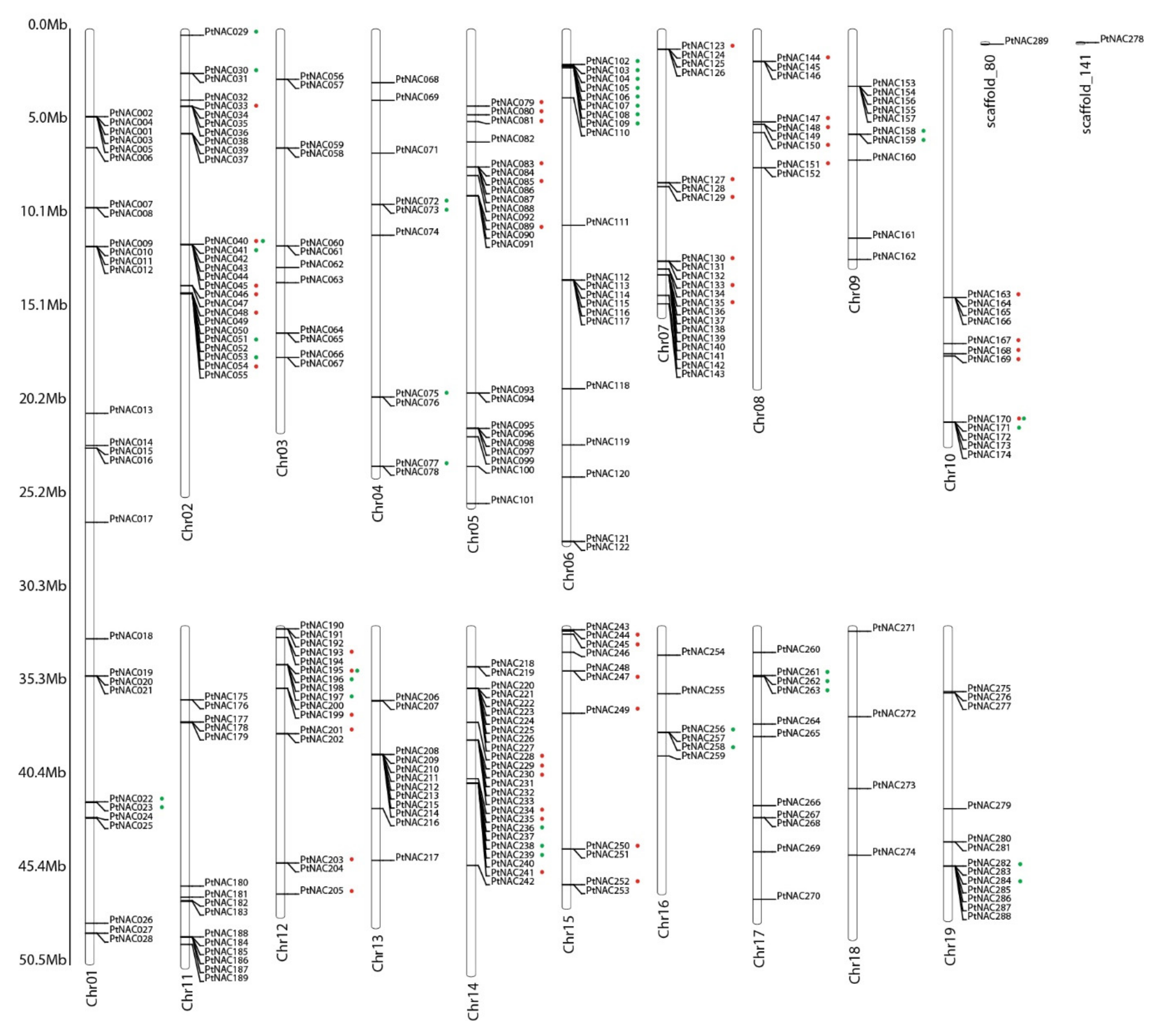 Forests 10 00688 g002 Forests 10 00688 g002