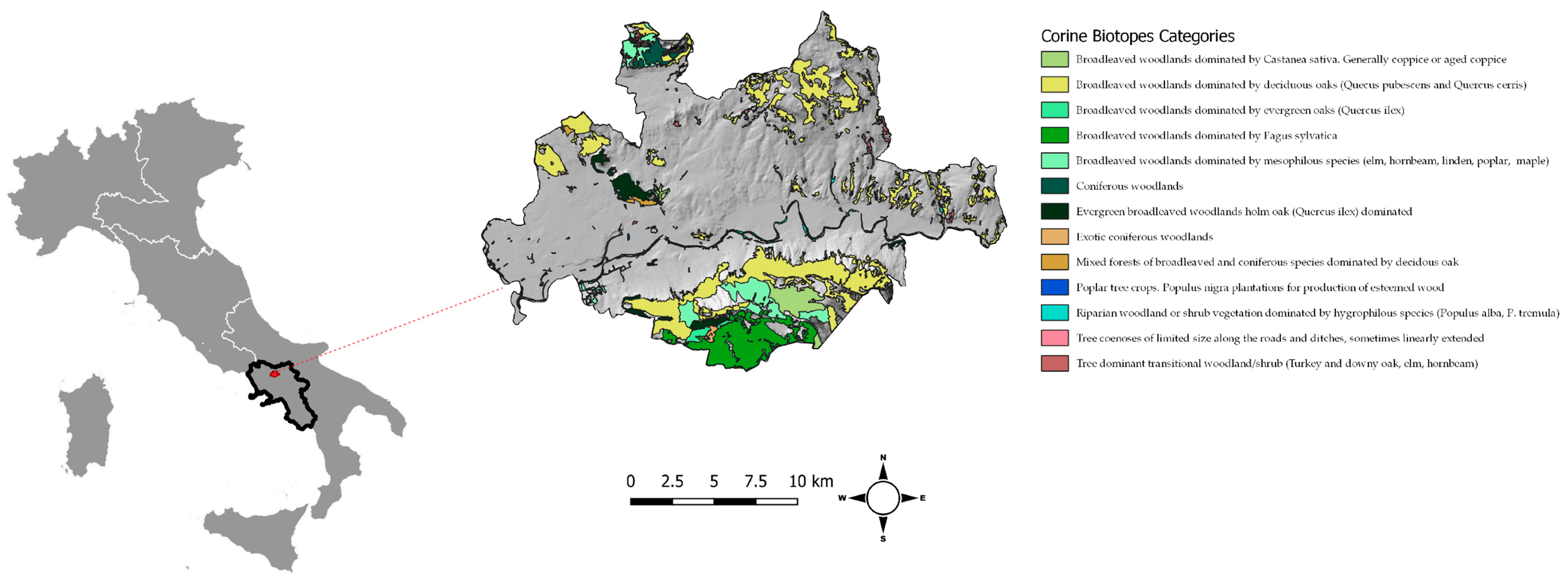 Forests 10 00690 g001 Forests 10 00690 g001