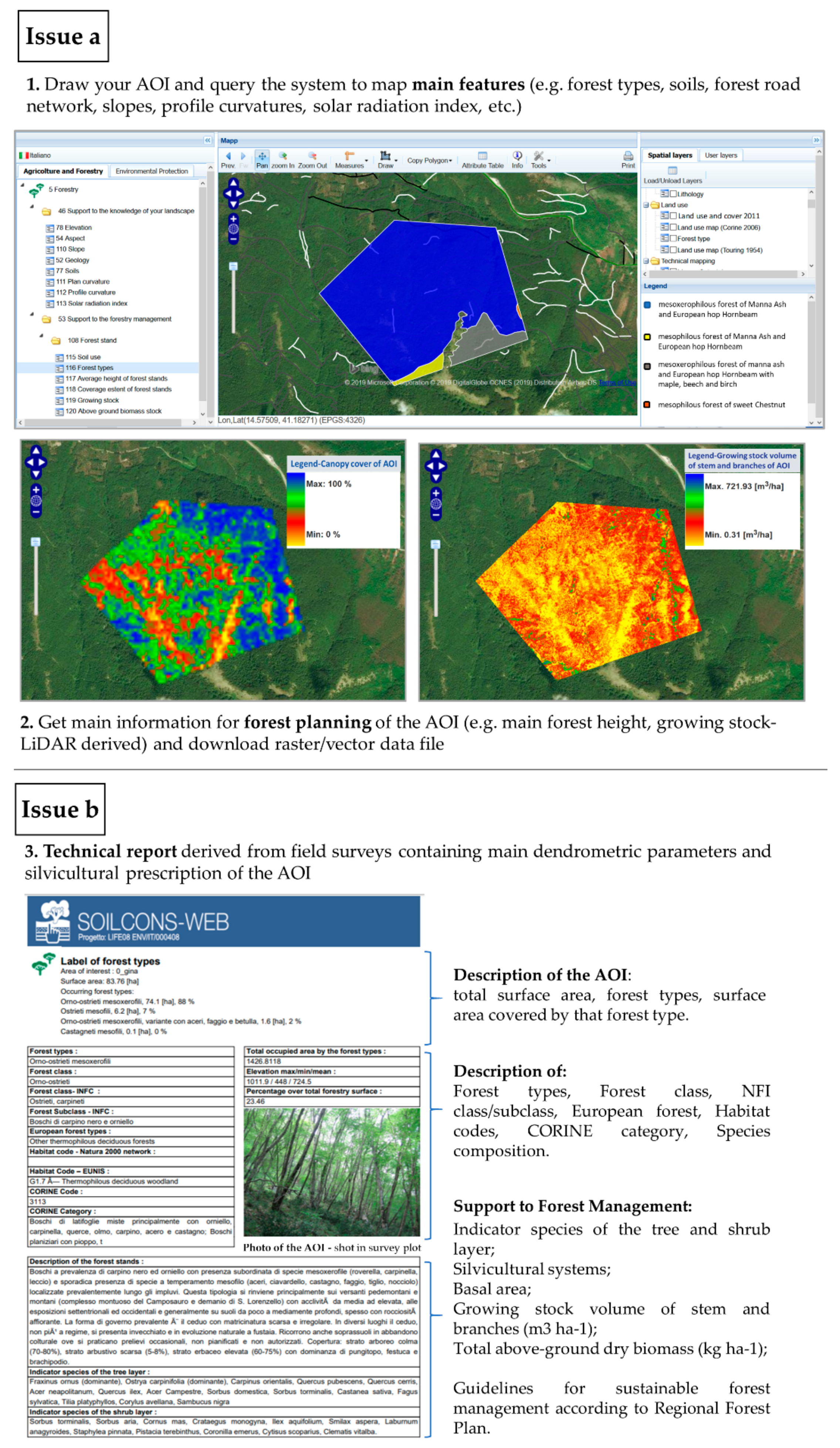 Forests 10 00690 g005 Forests 10 00690 g005
