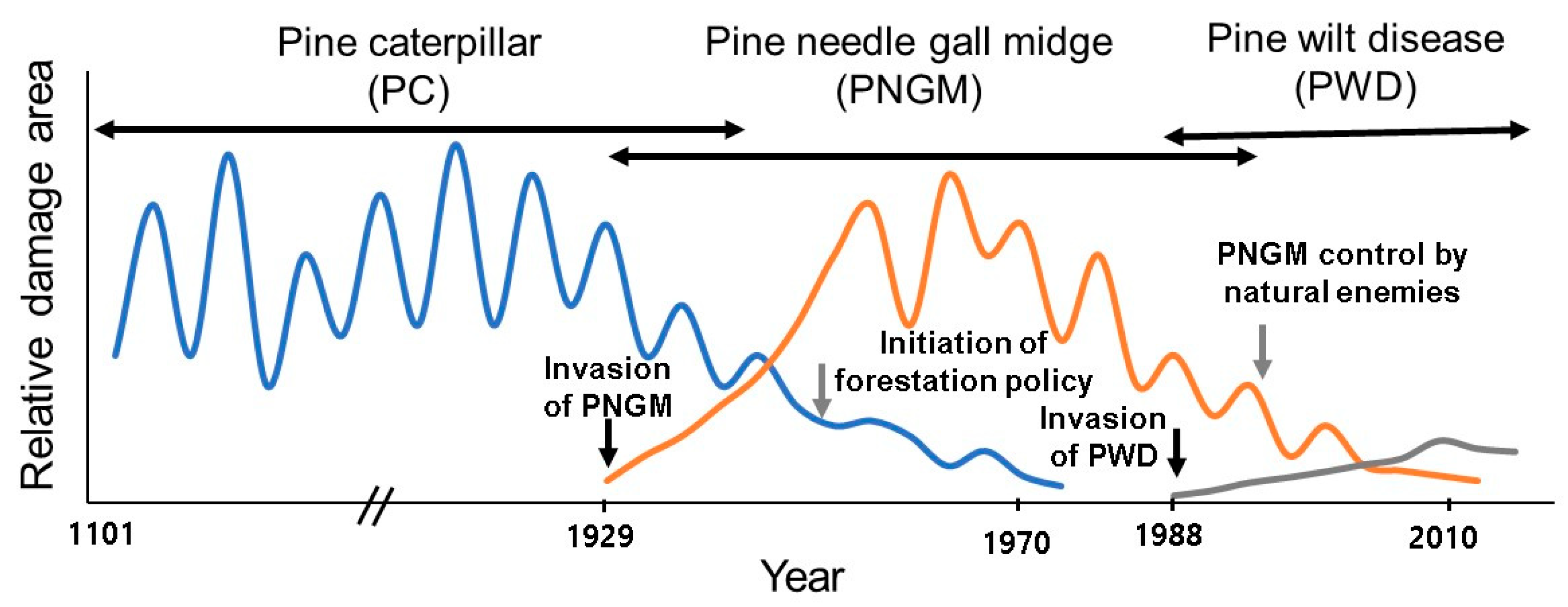 Forests 10 00692 g003