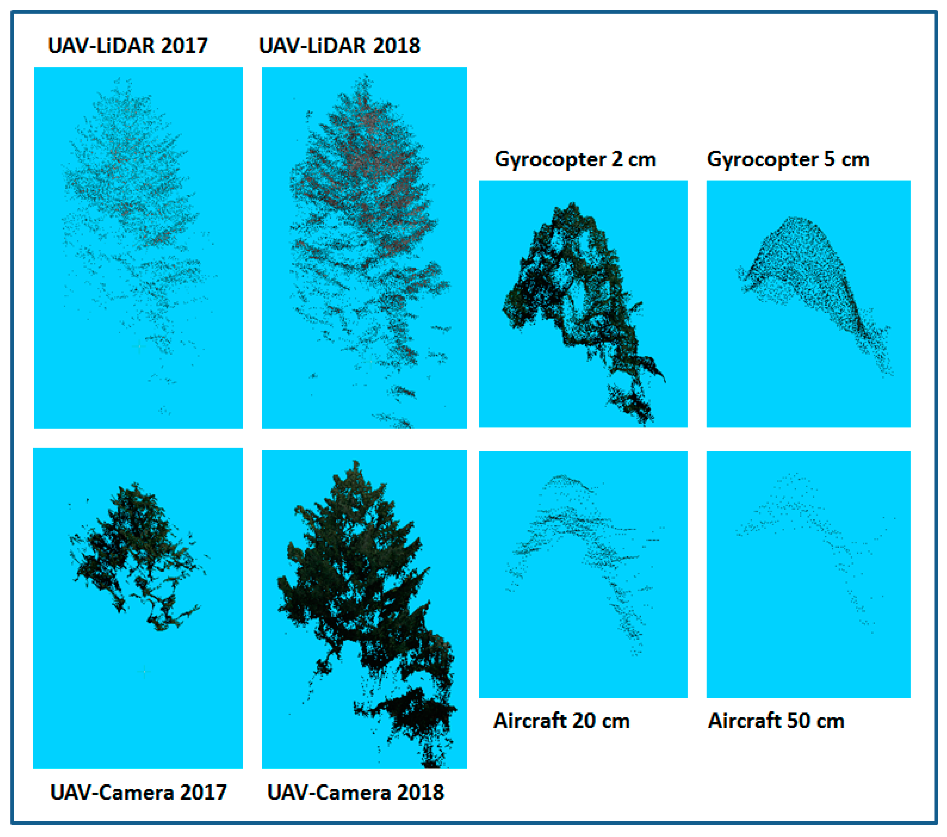 Forests 10 00694 g002
